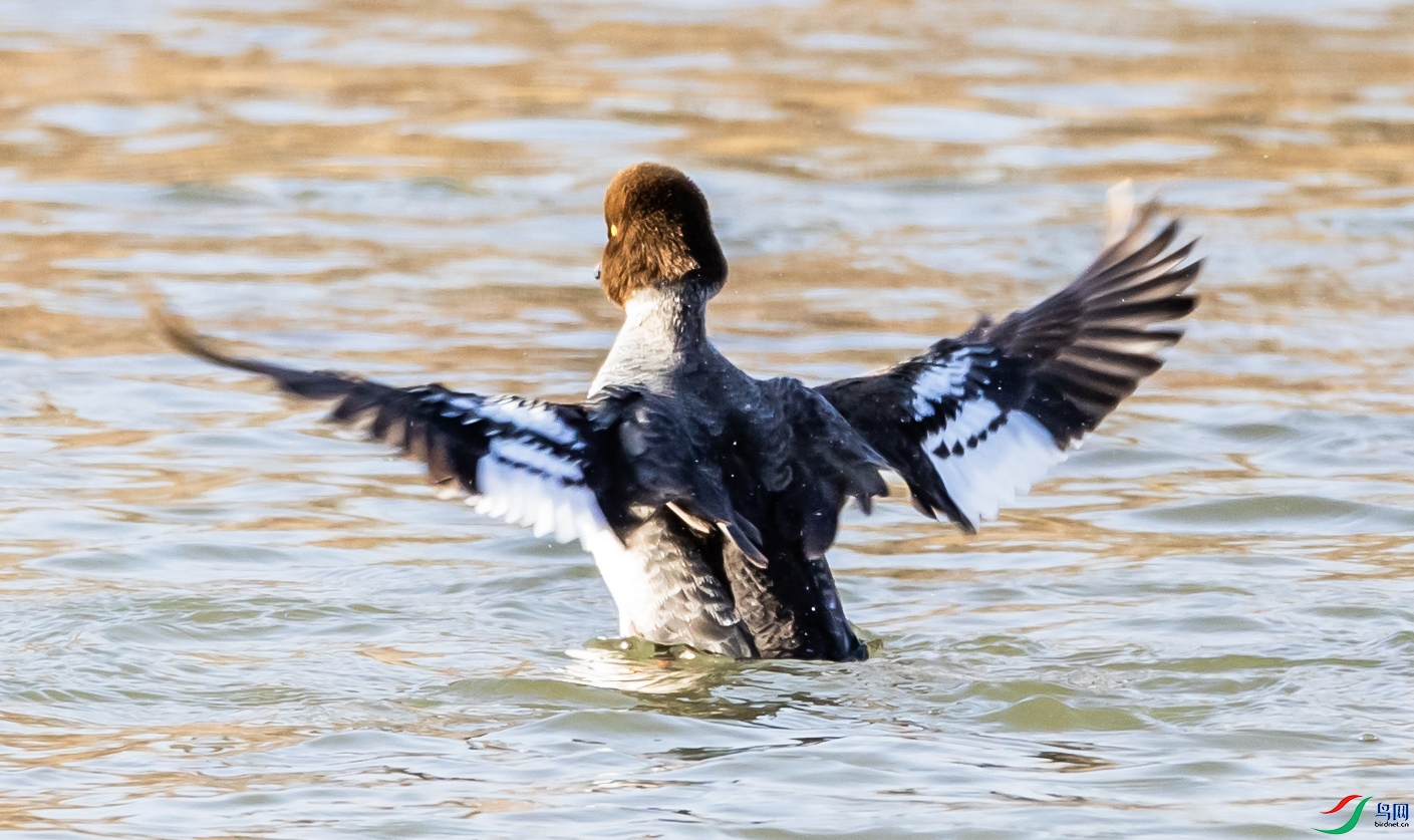 B26I8876 ȵѼ003.jpg