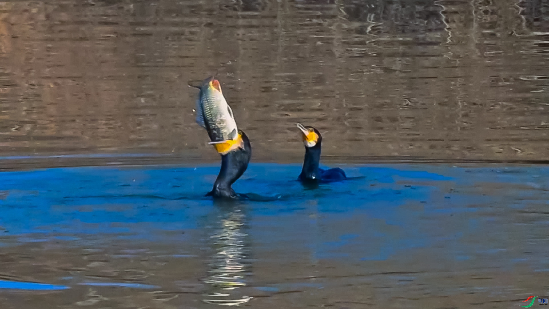 �Դ��㿿ʵ��-���� ����.jpg