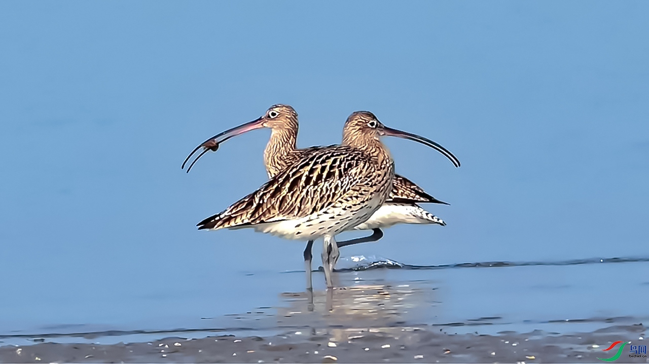 1��28�� (2)���������ʳ-����.jpg