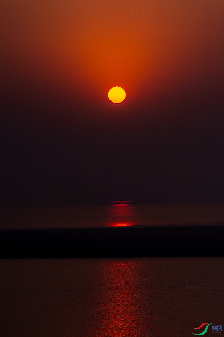 _DAU1157.jpg