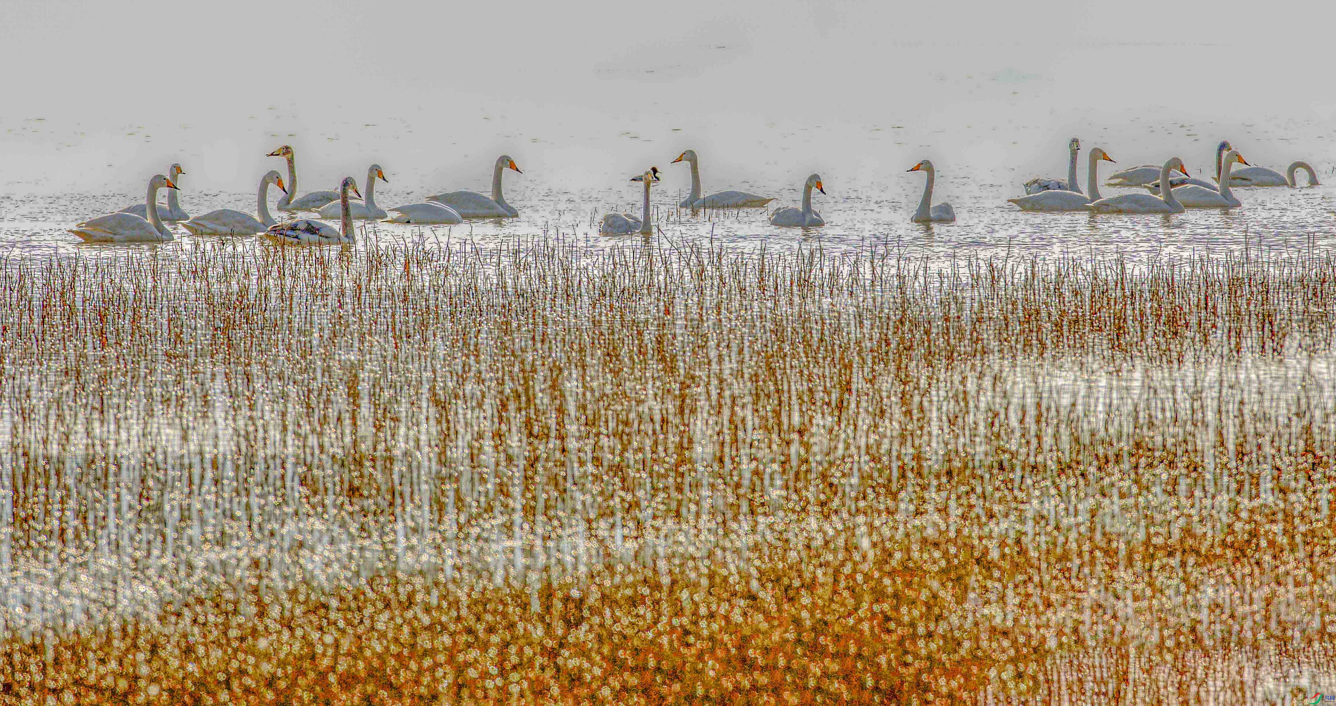 673A5179-- ����.jpg