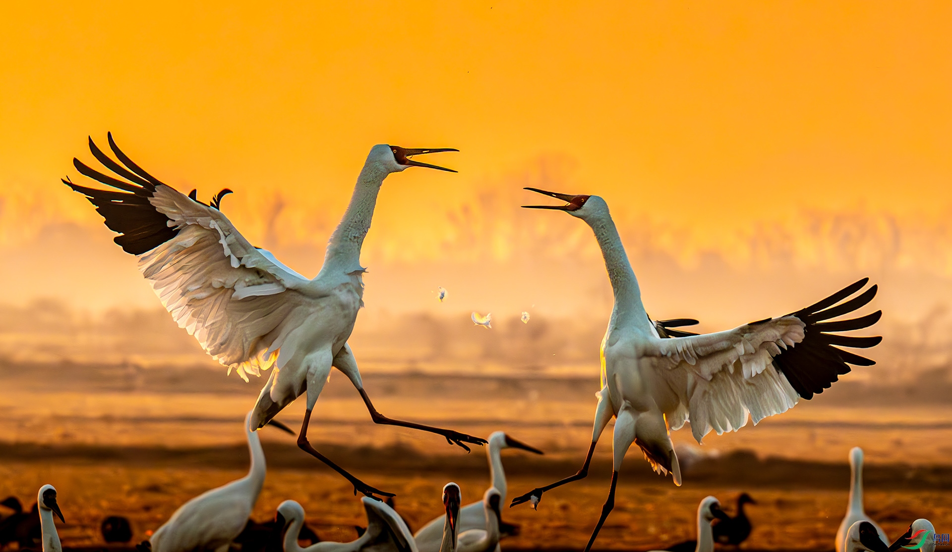 ����ֻ�׺׵ġ���ˮ�̡���