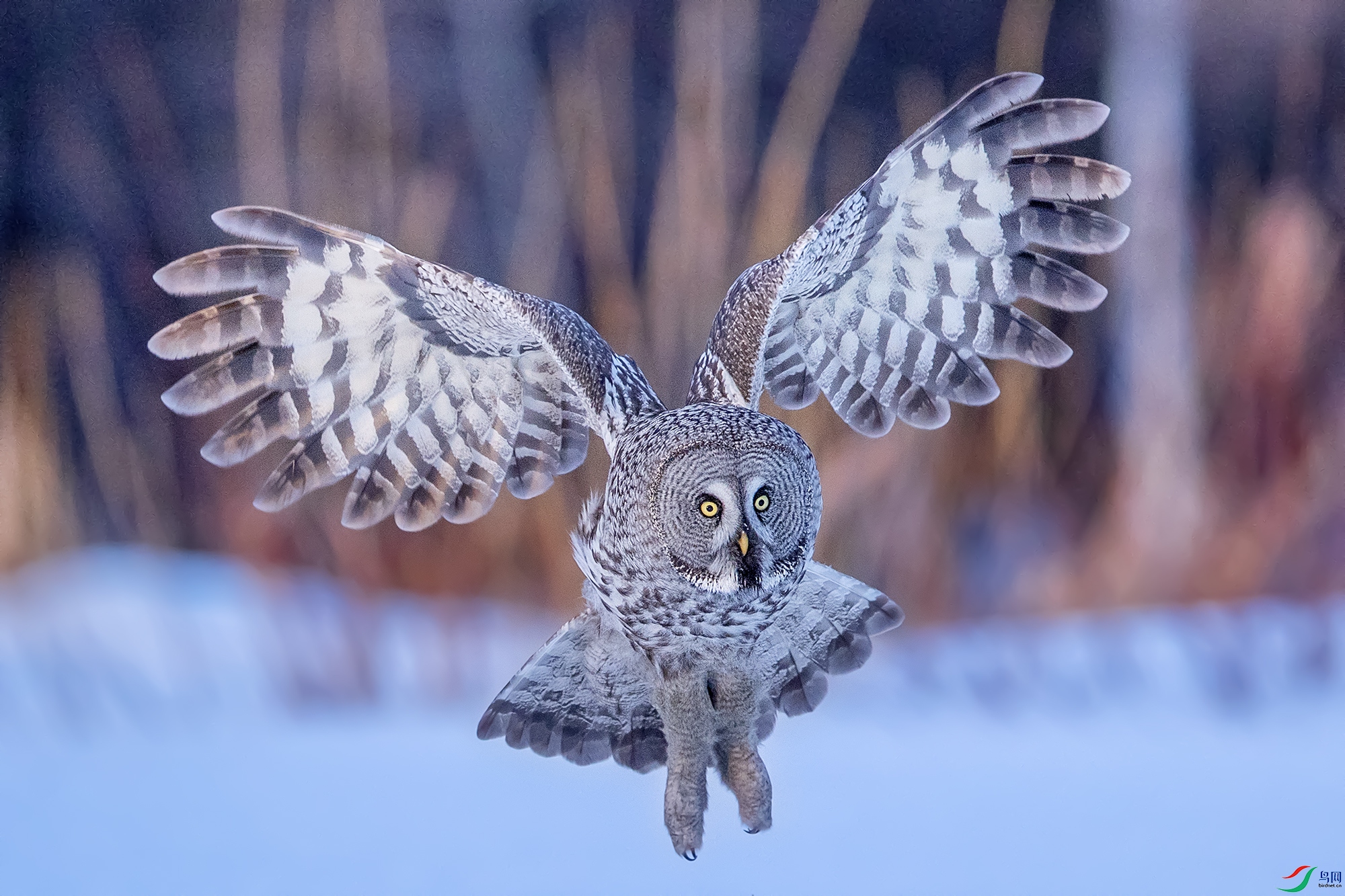 BC9I7522 ����.jpg