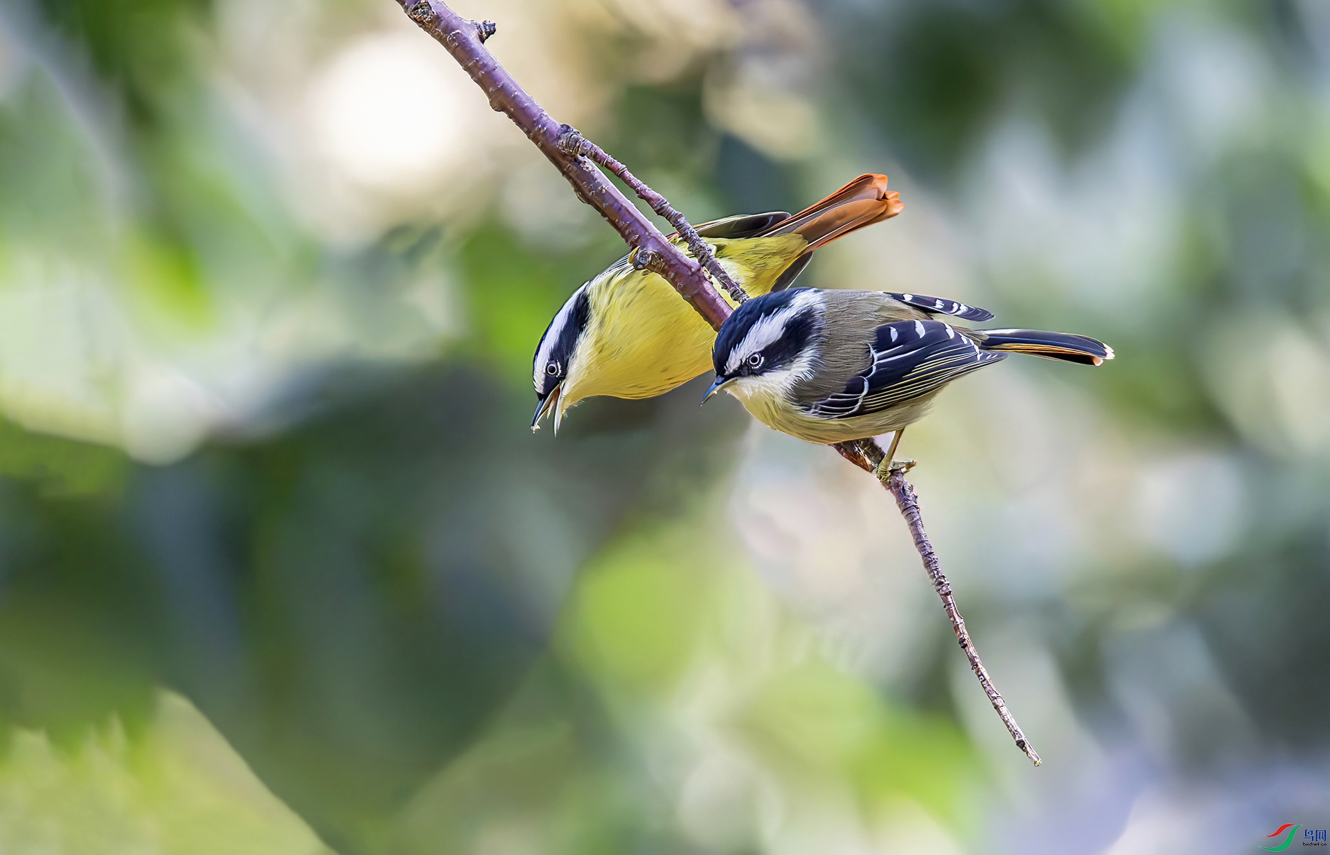 L24_3440-����ǿ-NR_2 ����.jpg