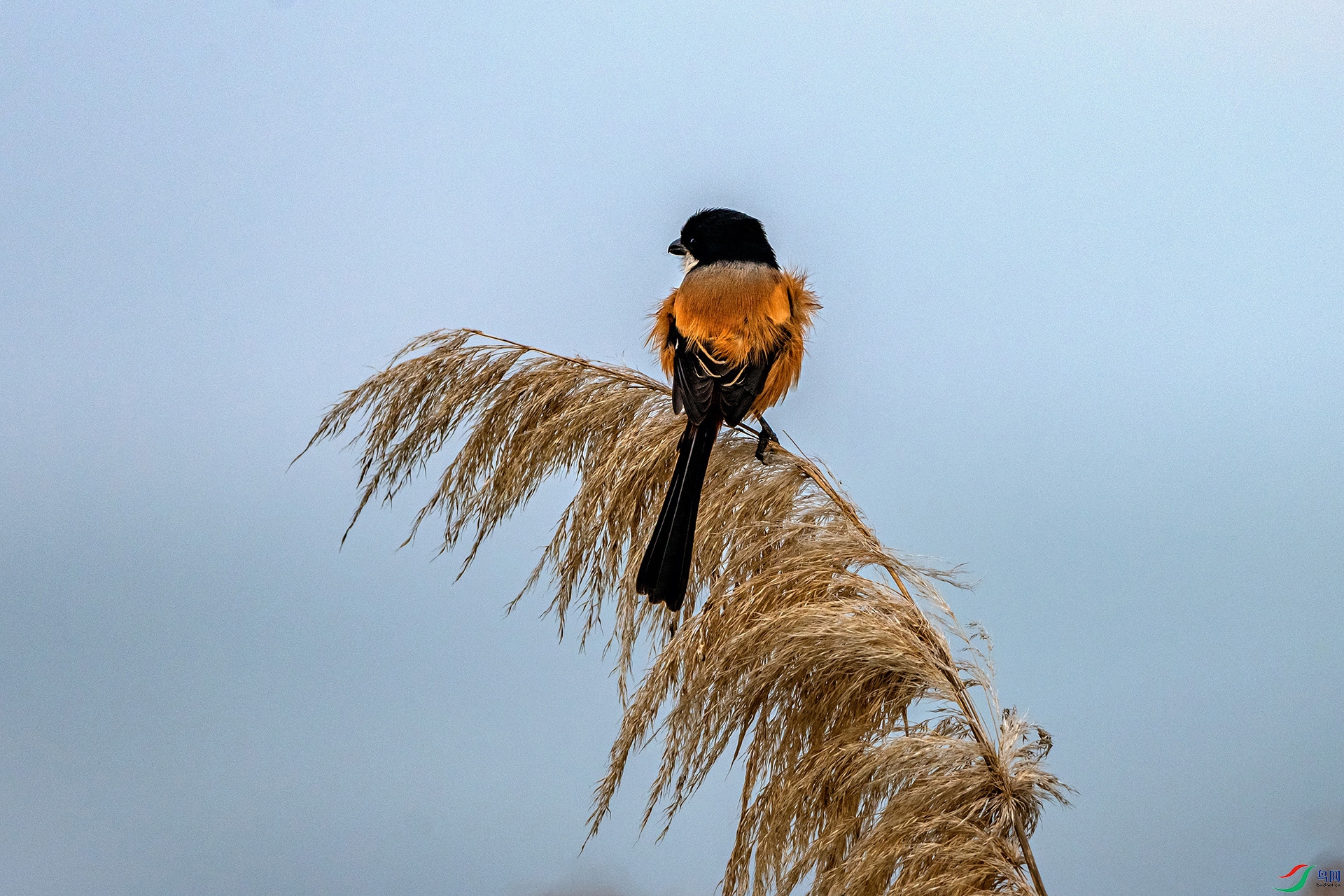 _AUU0664 �ر�����(25.11.22).jpg