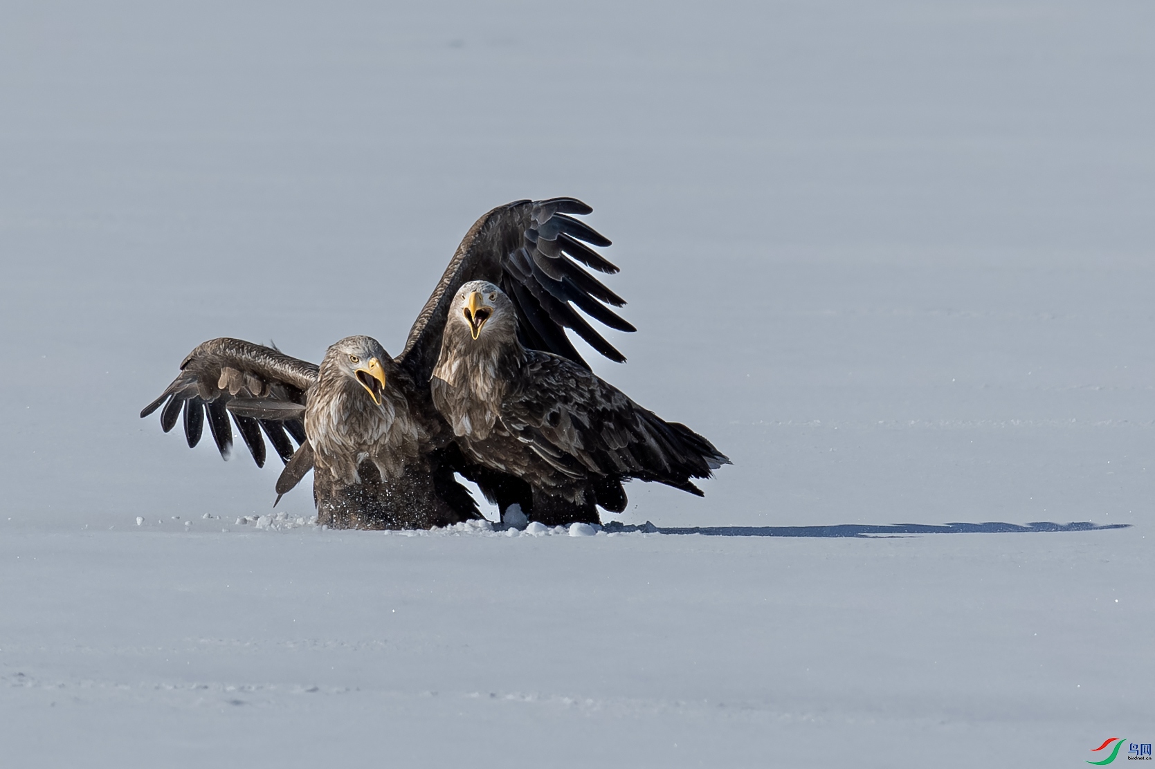 ����������