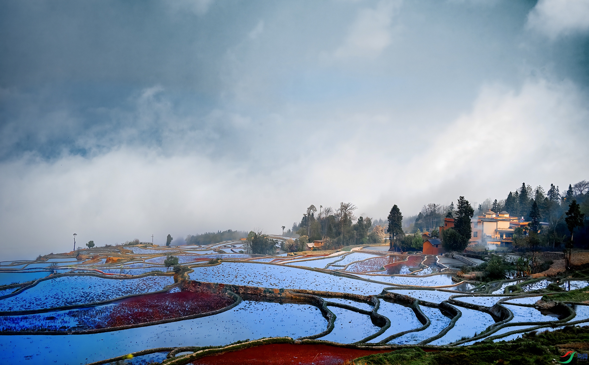 DSC_1138- ��ɫ���� - AAA.jpg