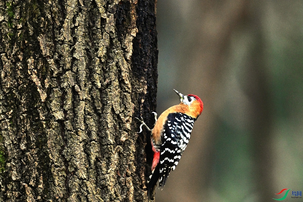 DSC_3508.JPG