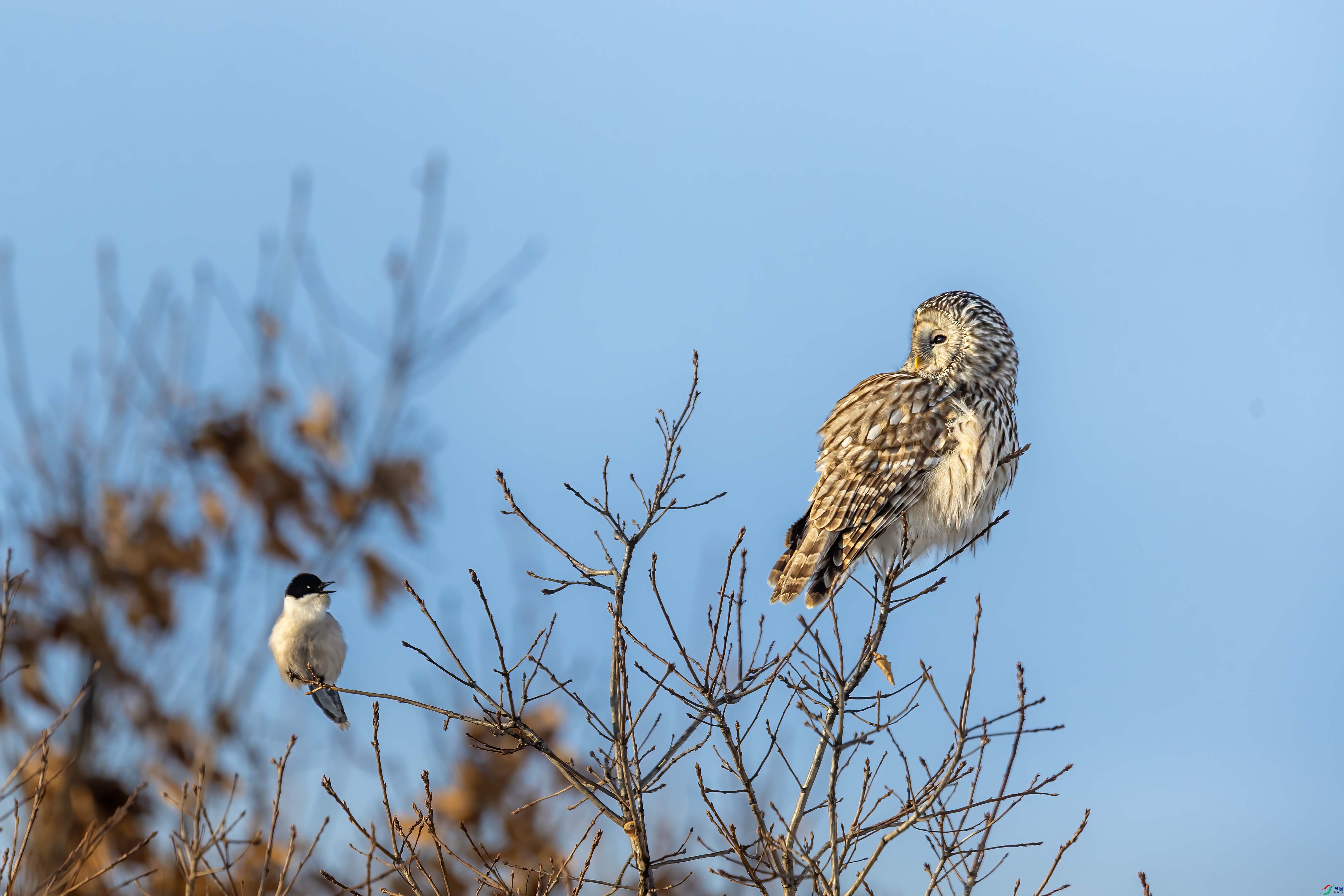 A64I4186 ����3.jpg