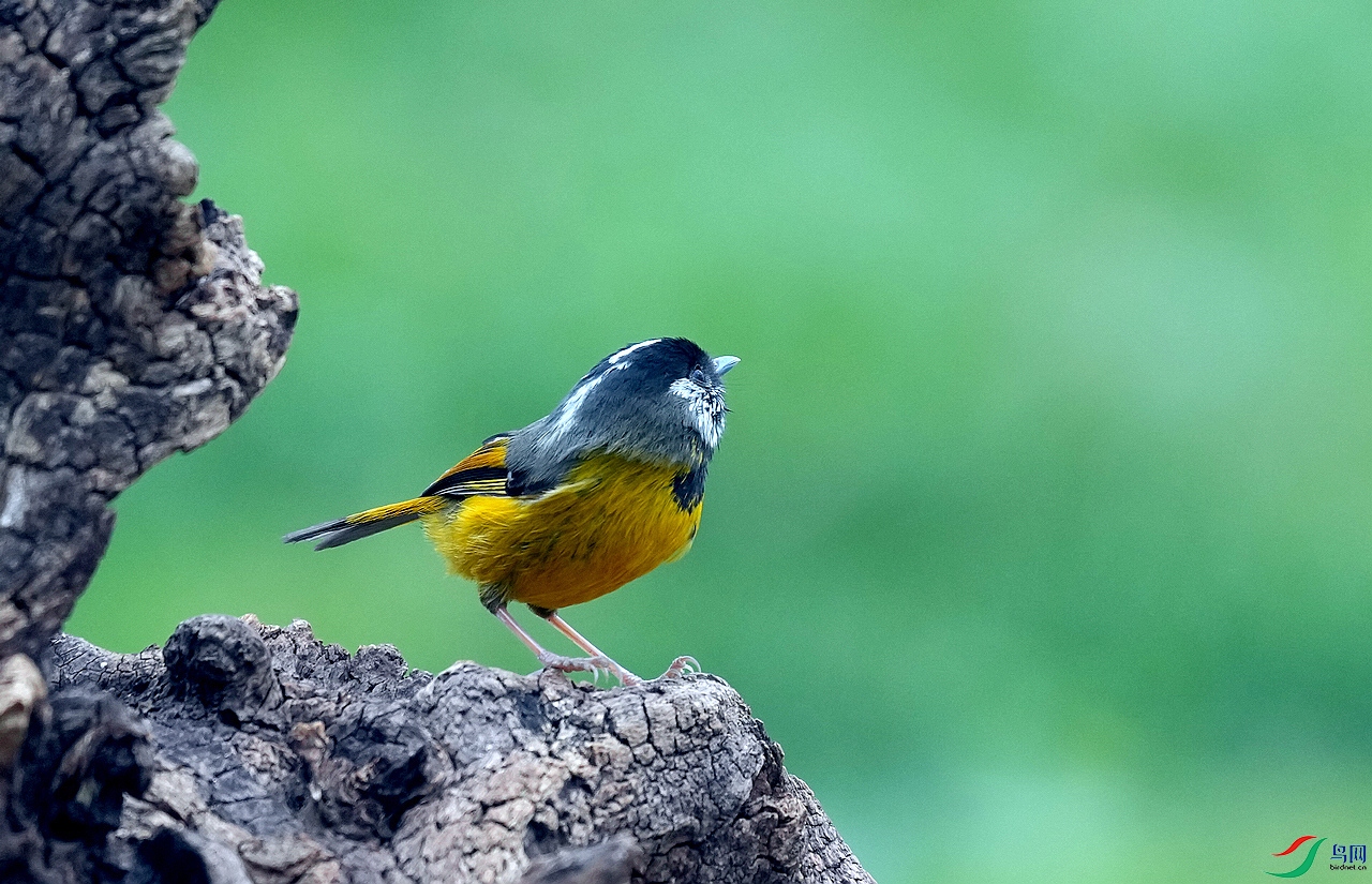 ����ȸ�� (2).jpg