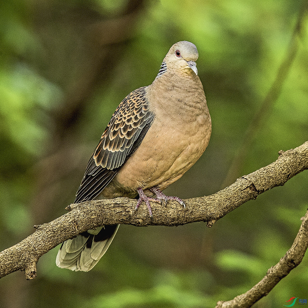 _90I6813 ���� 3.jpg