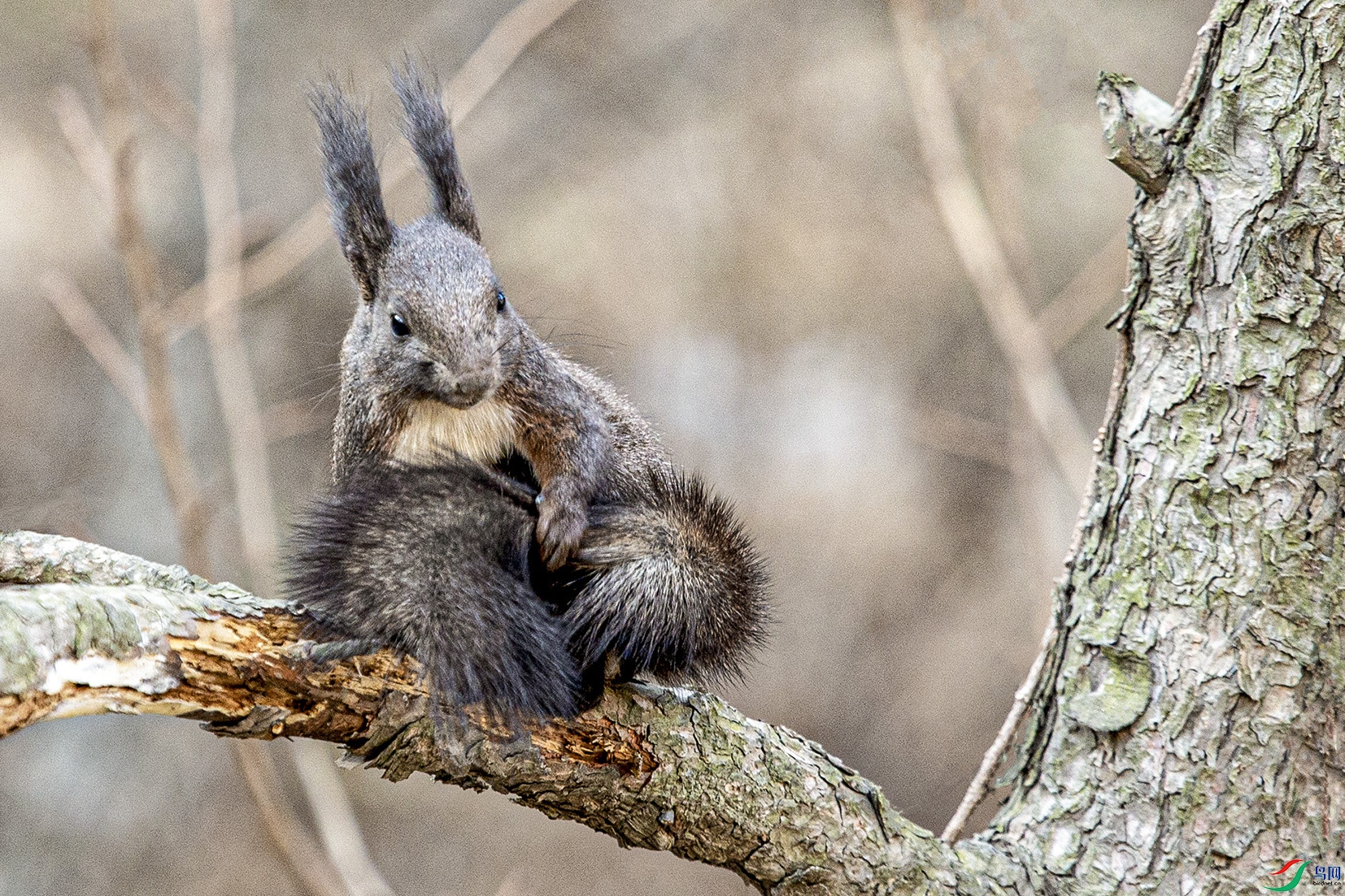 _MG_8139 ���� 2.jpg