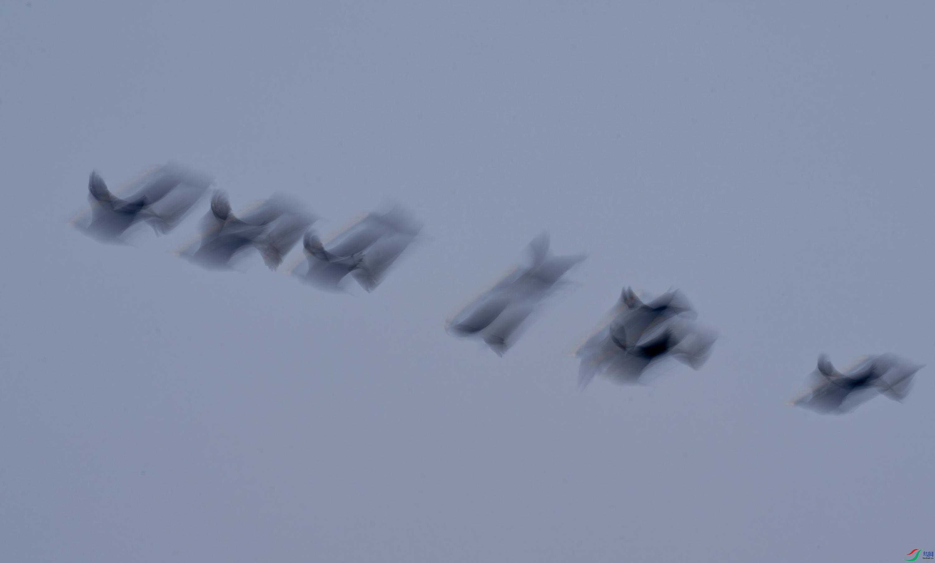 ����-02-4-2.jpg
