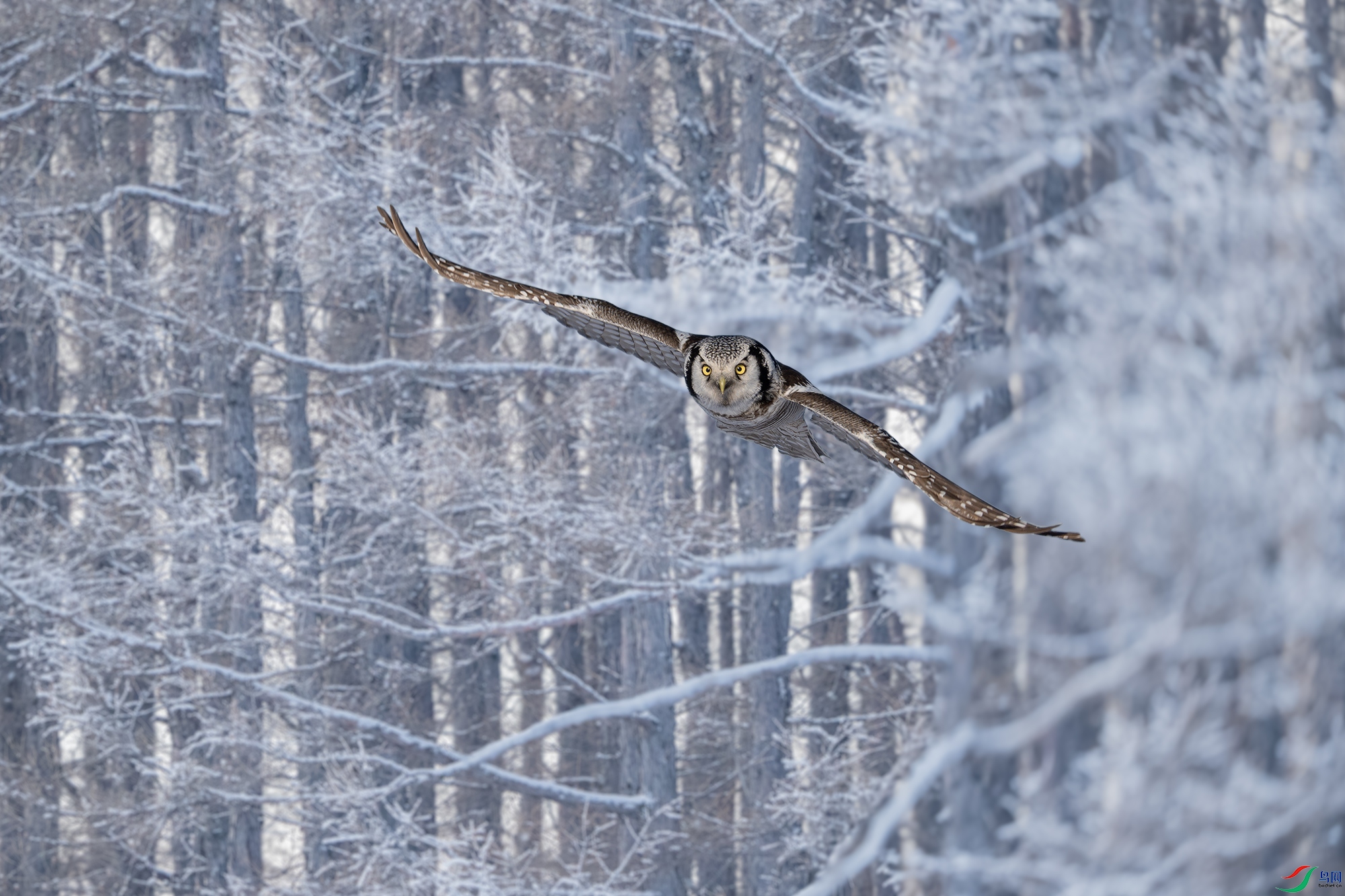 _DSC7786 ����1С.jpg