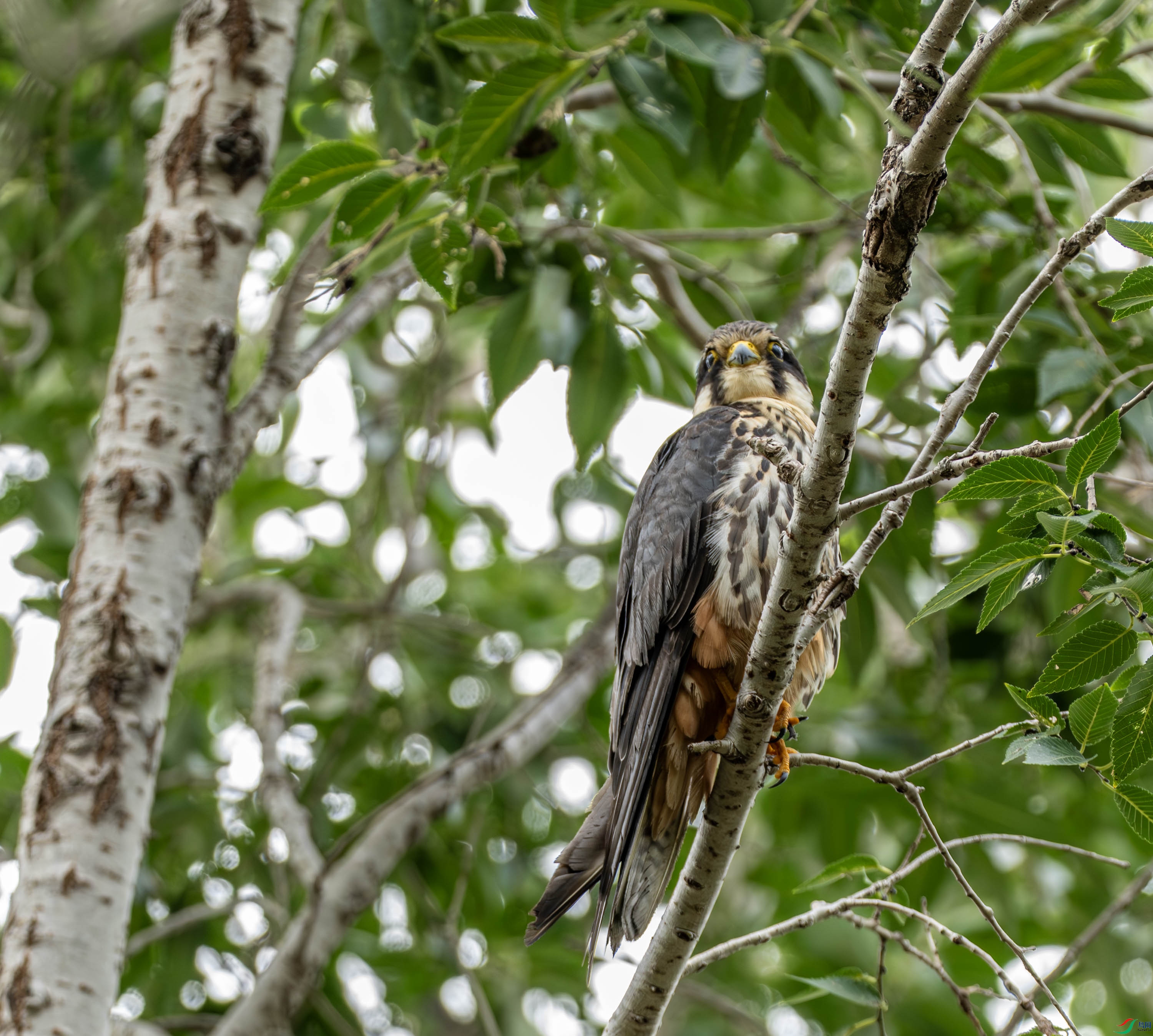 ���� 02-6.jpg