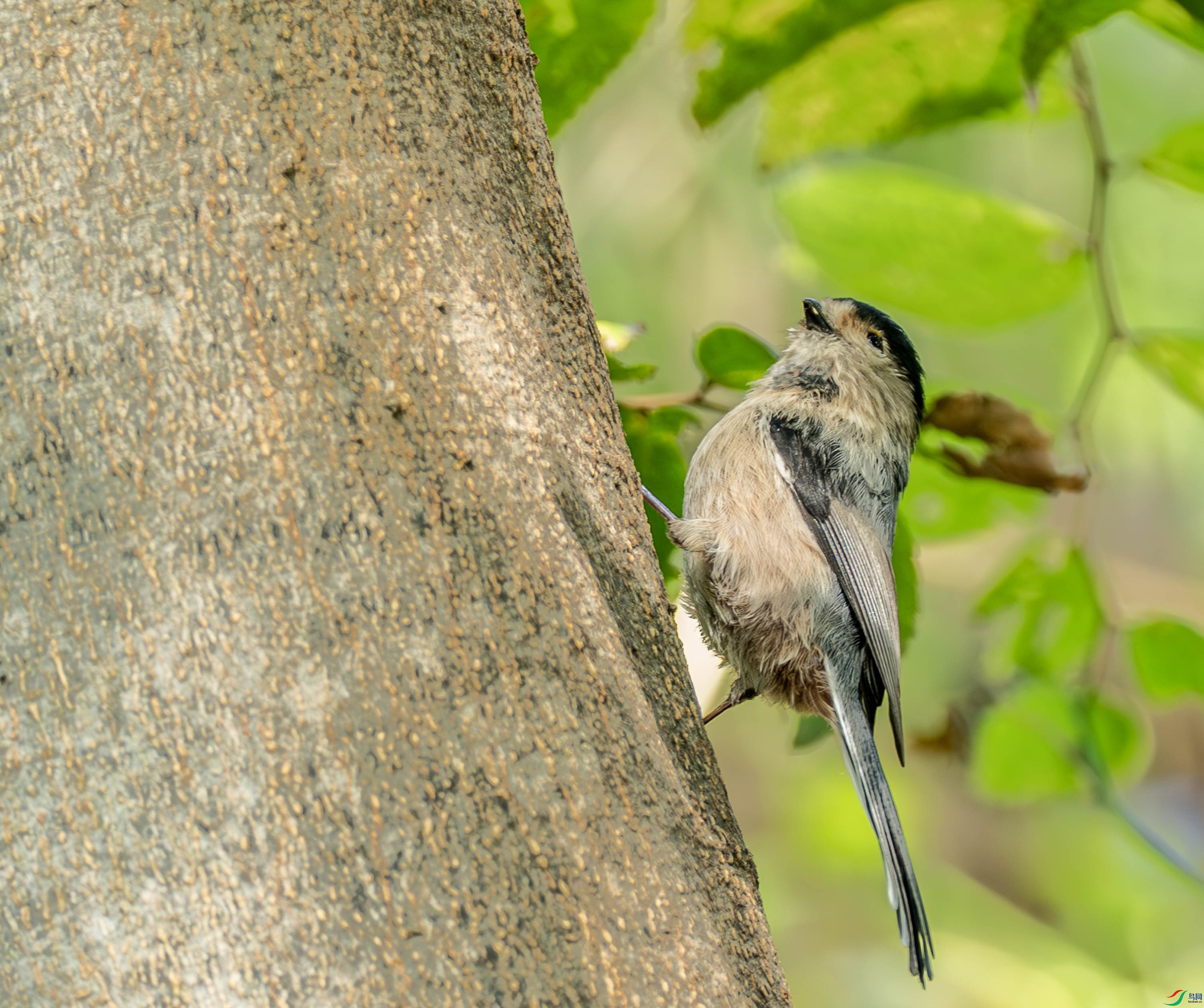 ������βɽȸ -1-29.jpg