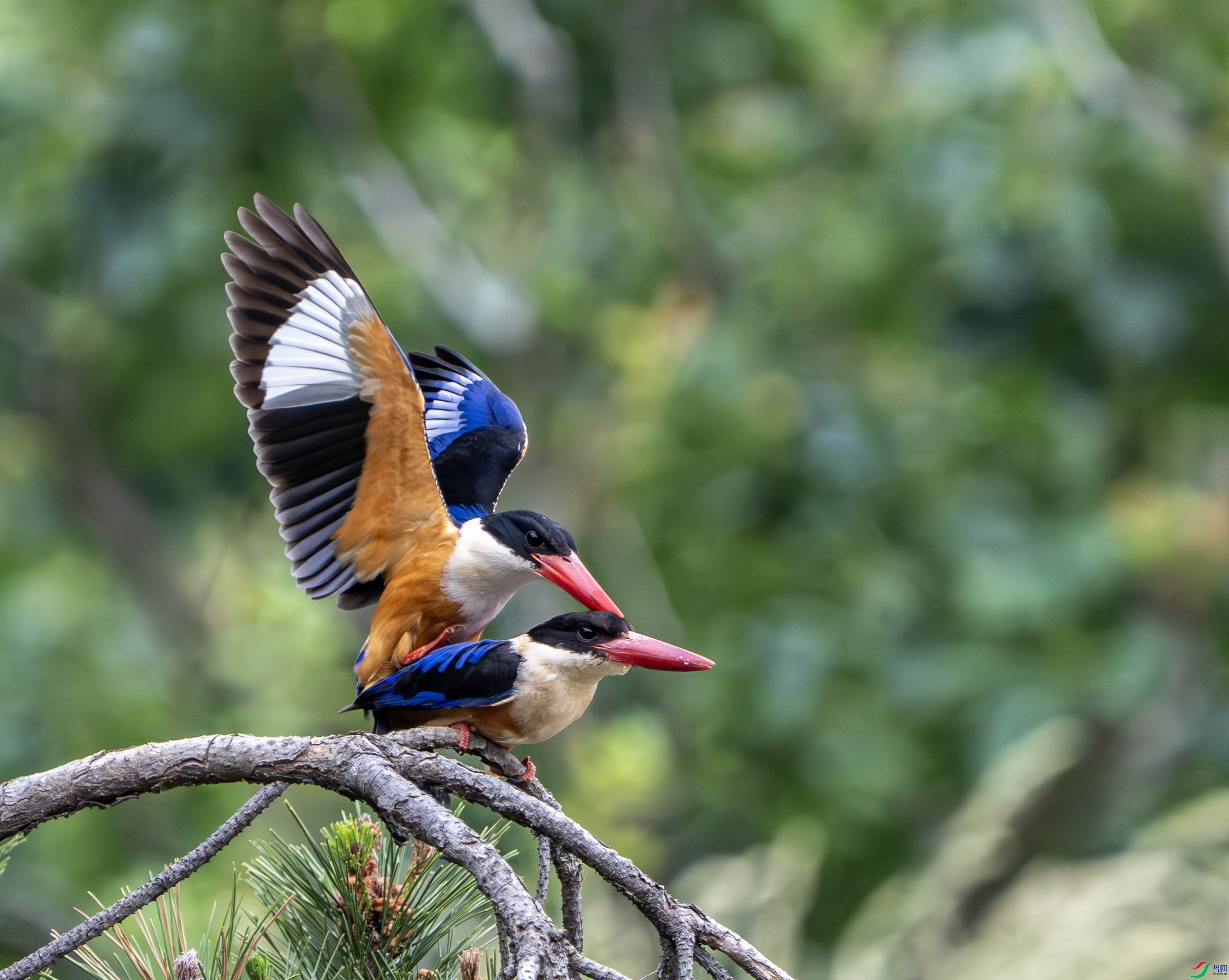 �����-23 (27).jpg