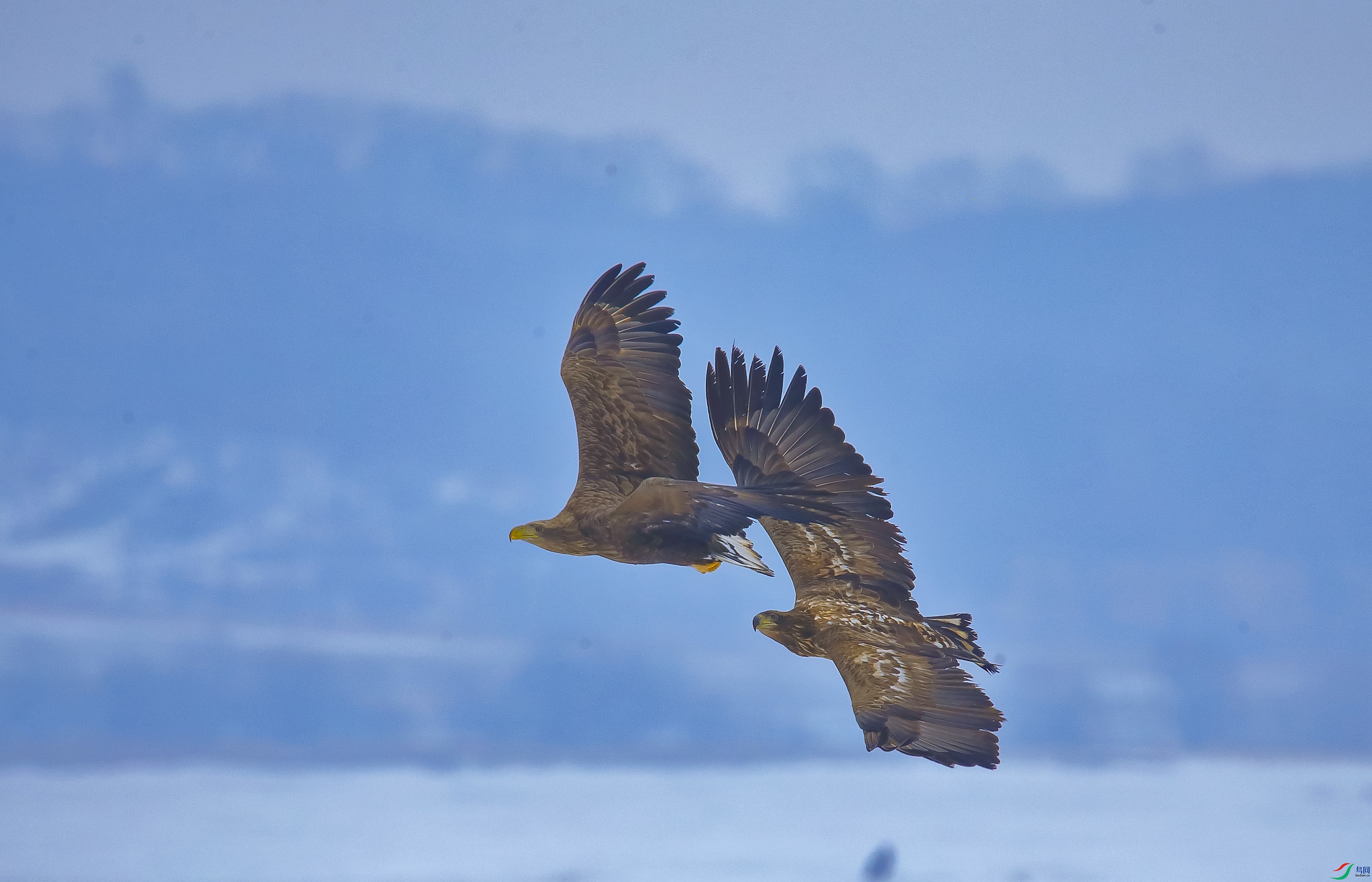 AM6Y0630 ����.jpg