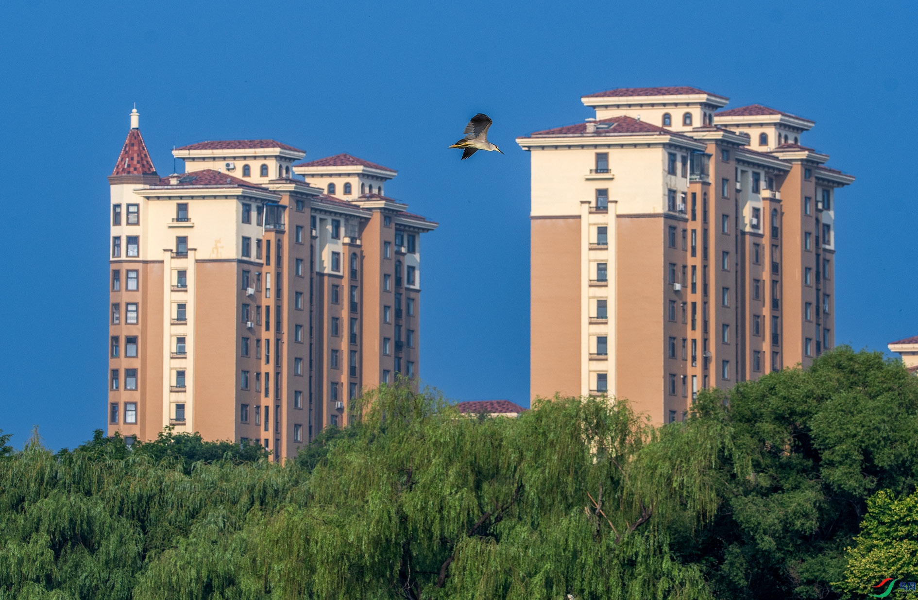 DSC_6388_��ͼ�� ����.jpg