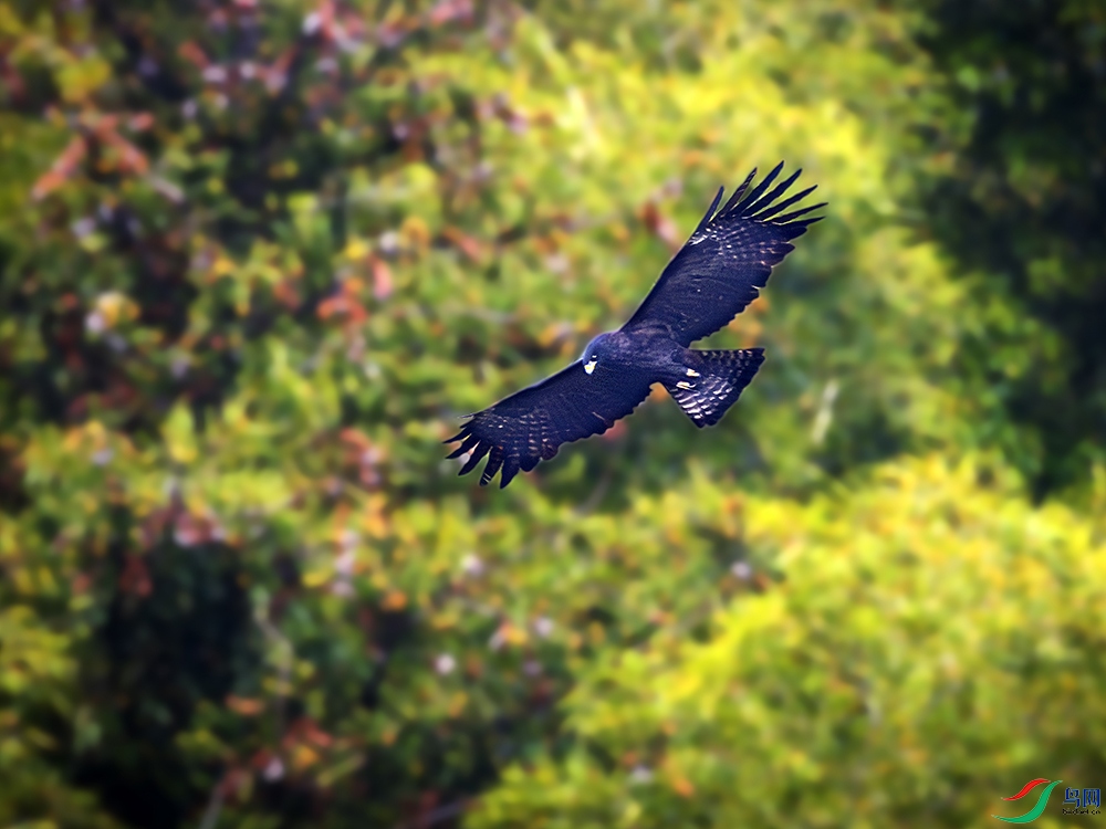 _B3A7614�ֵ�-Ѳɽ ����.jpg