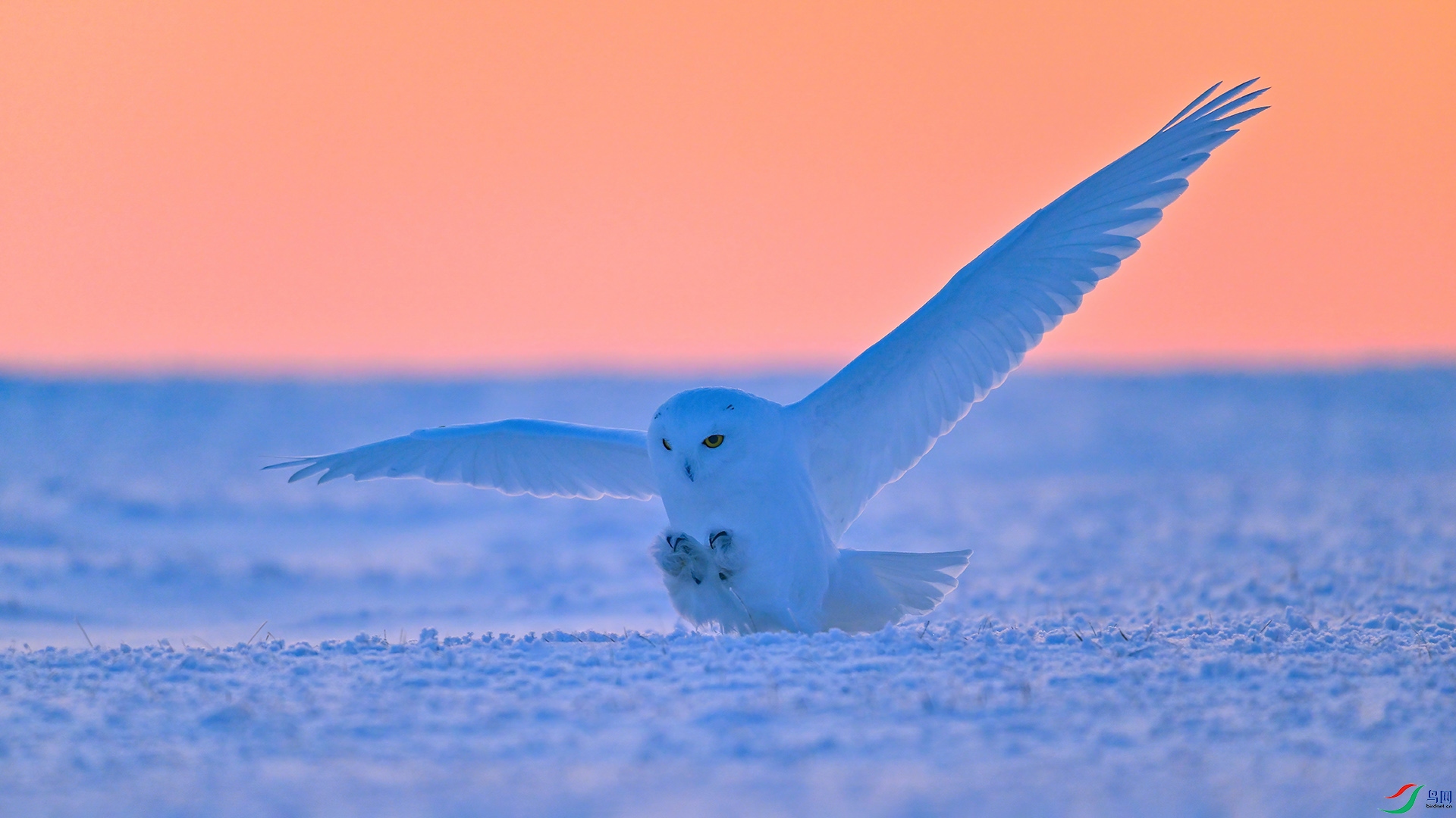 XHH_0360 ����.jpg