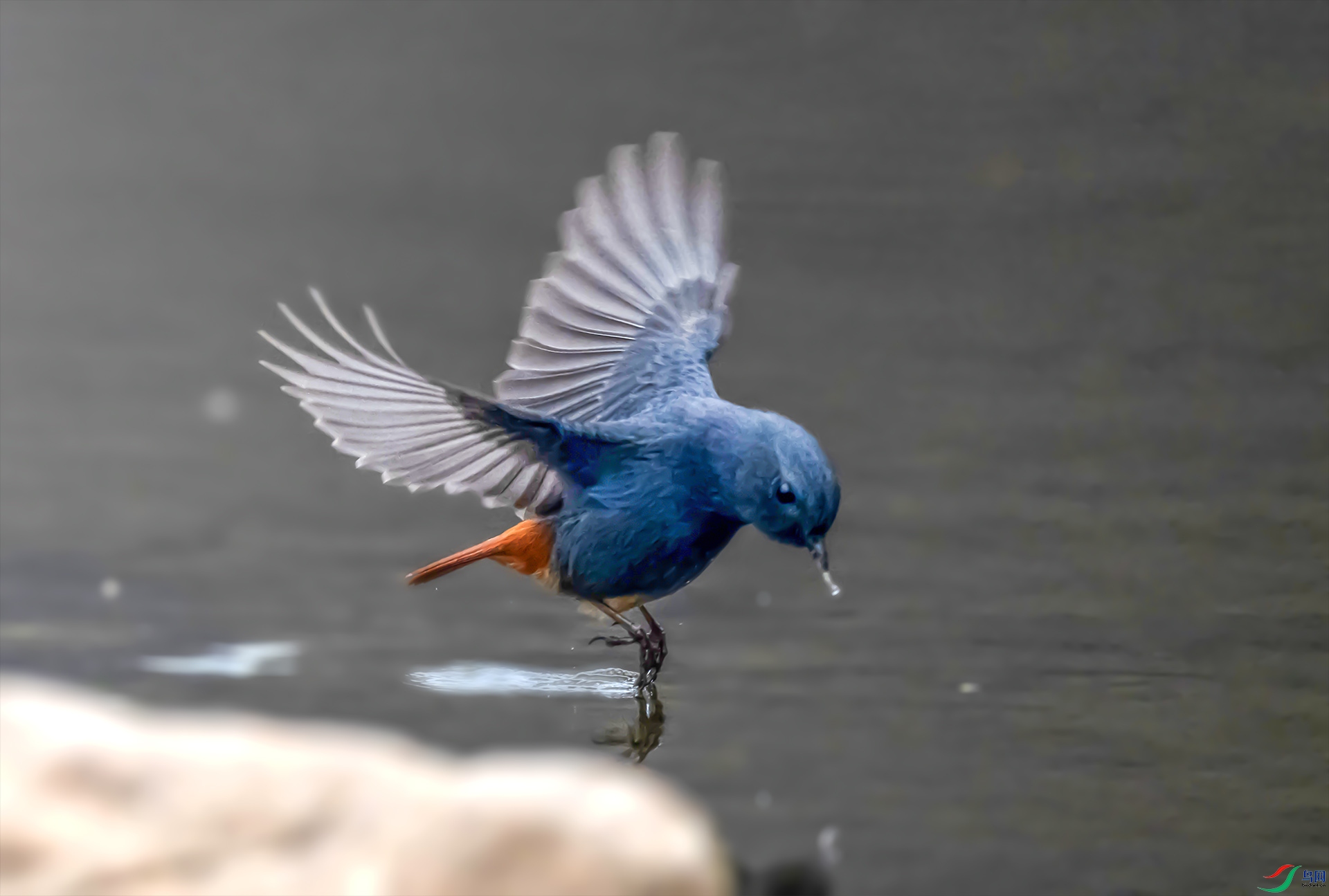 DSC_5905 ����-----11  .jpg