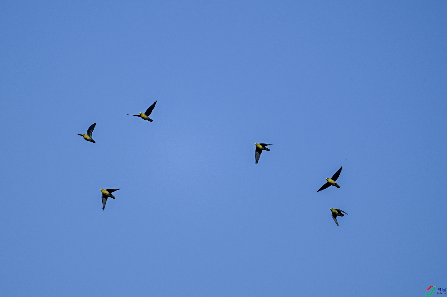 DSC_6315.JPG