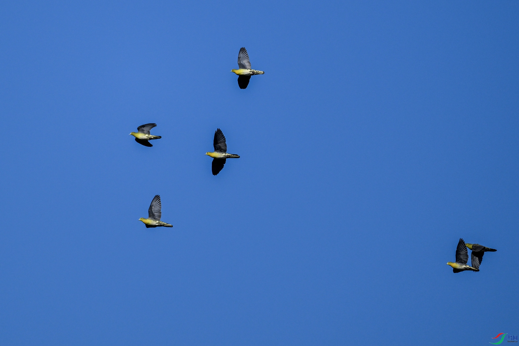 DSC_6327.JPG
