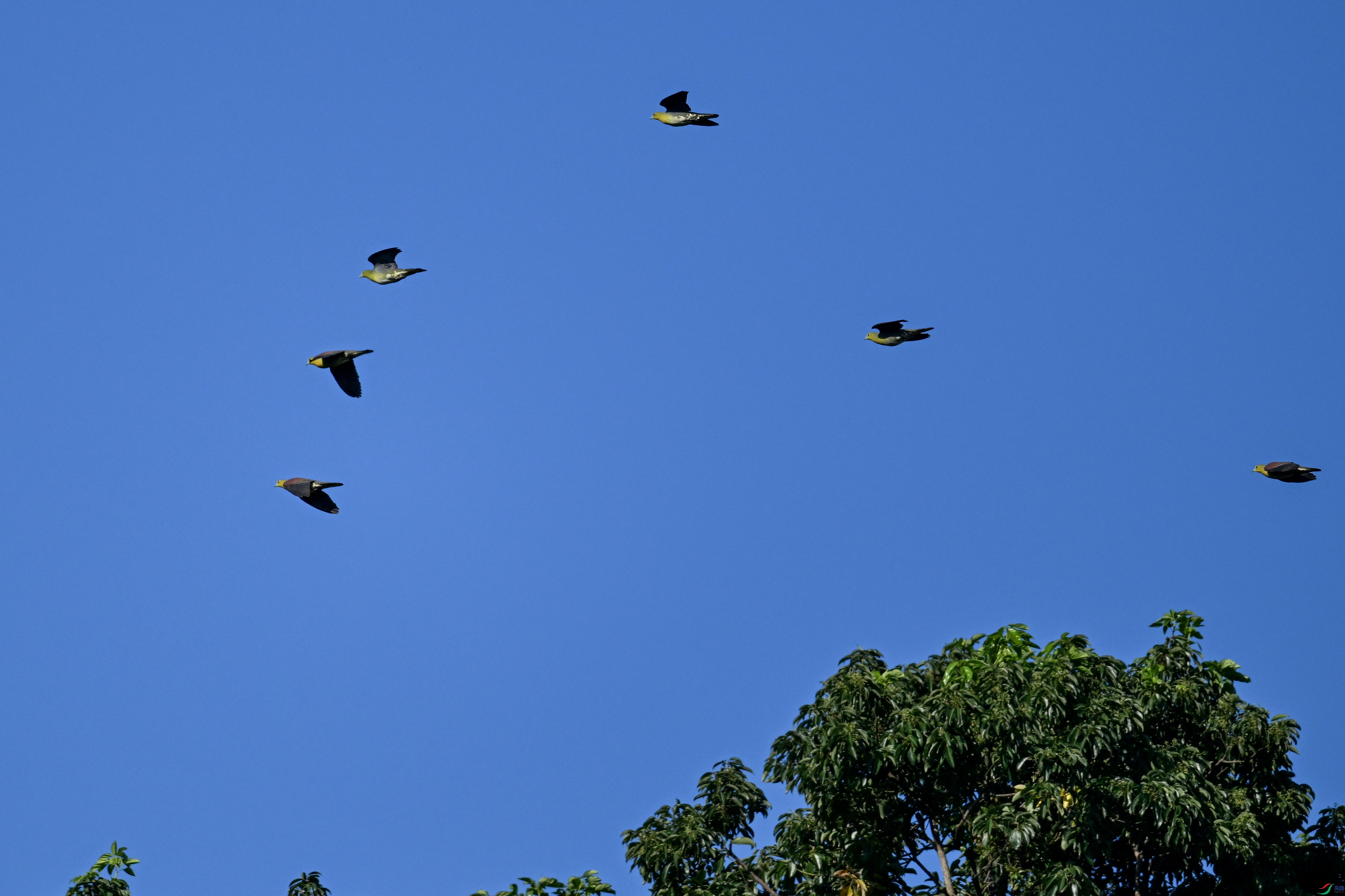 DSC_6345.JPG
