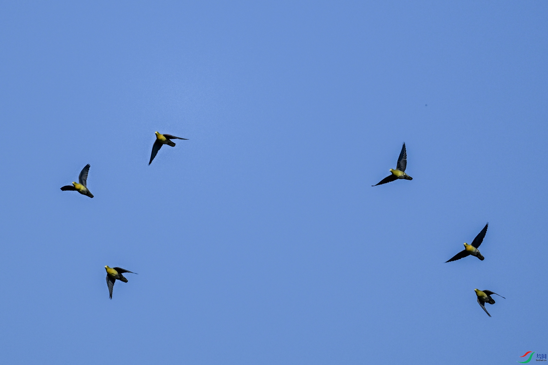 DSC_6312.JPG