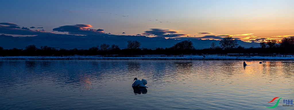 xjynR3241223 (2824).jpg