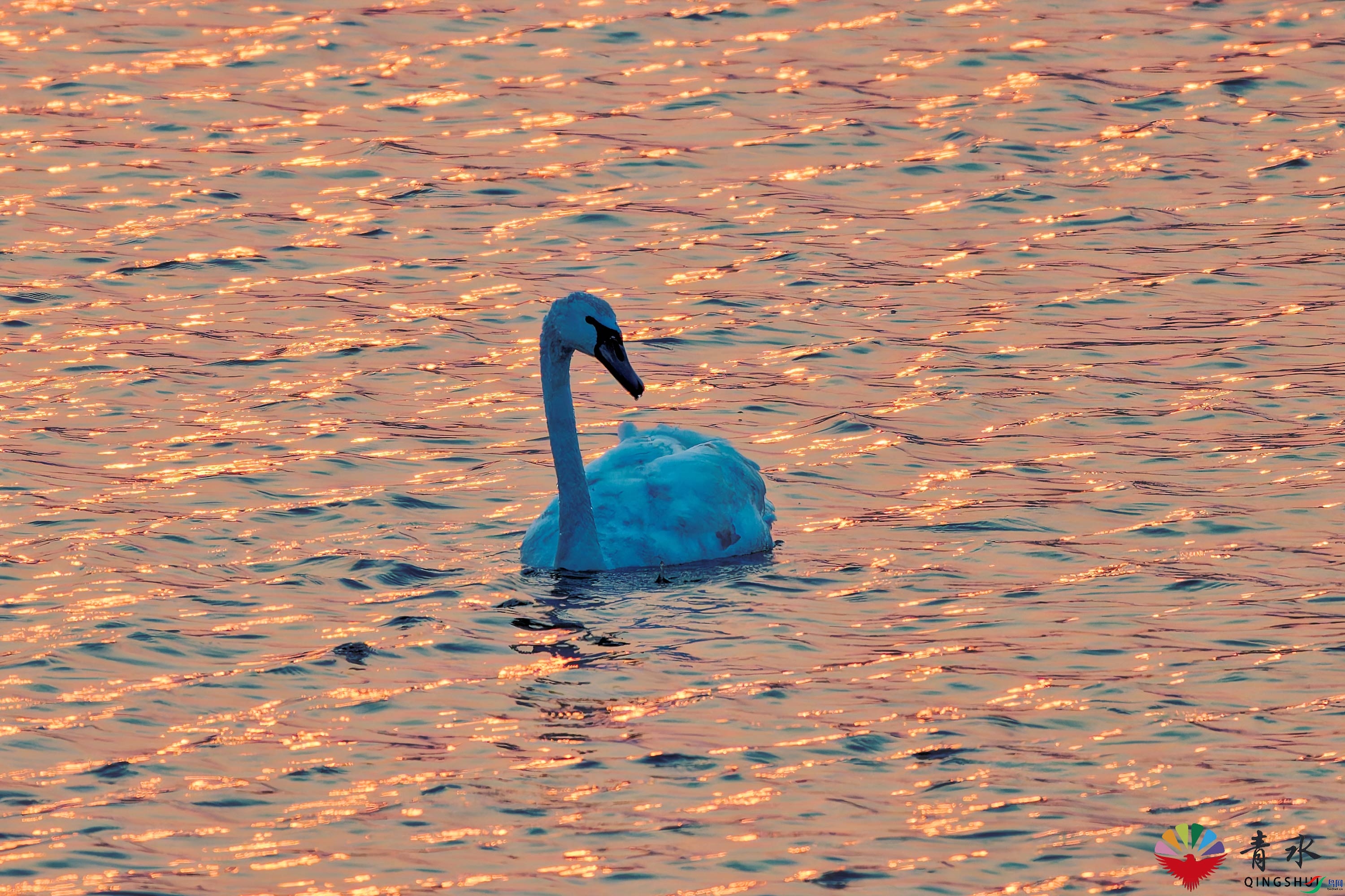 DSC_1197.jpg