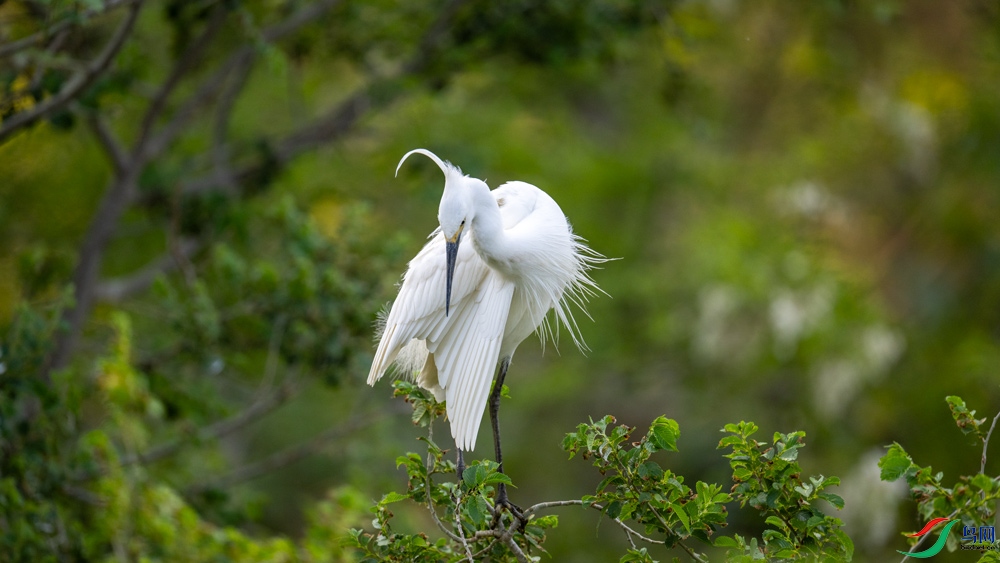 DSC_3784.jpg