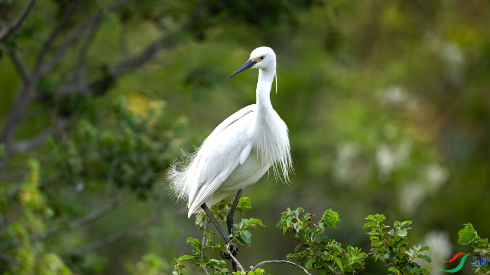 DSC_3771.jpg