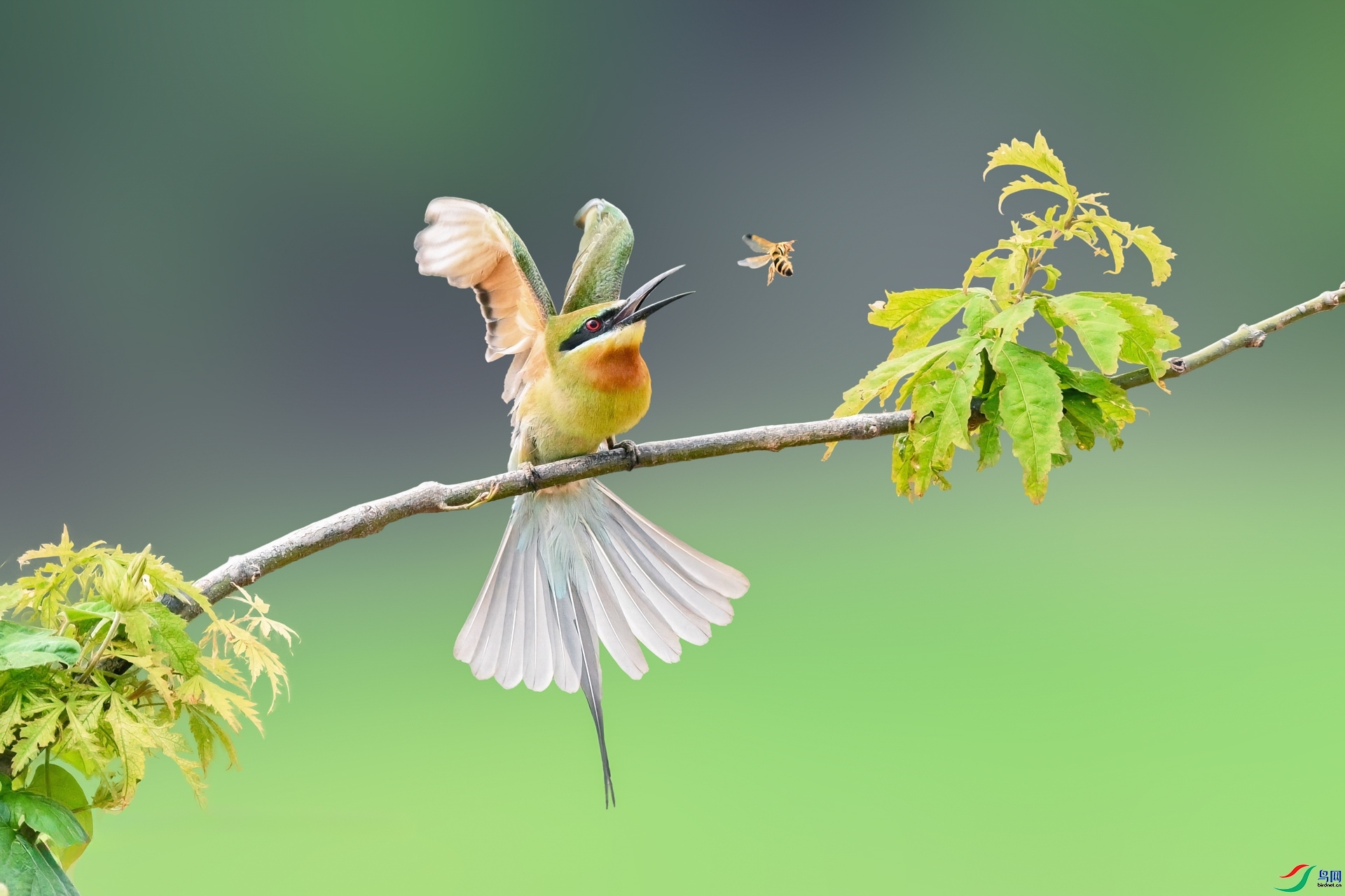 1.27 ��ƽ@��ʦ��Ʒ  ����  �ٻ�2026��1��27����Ӱʦ��ҳ����.jpg