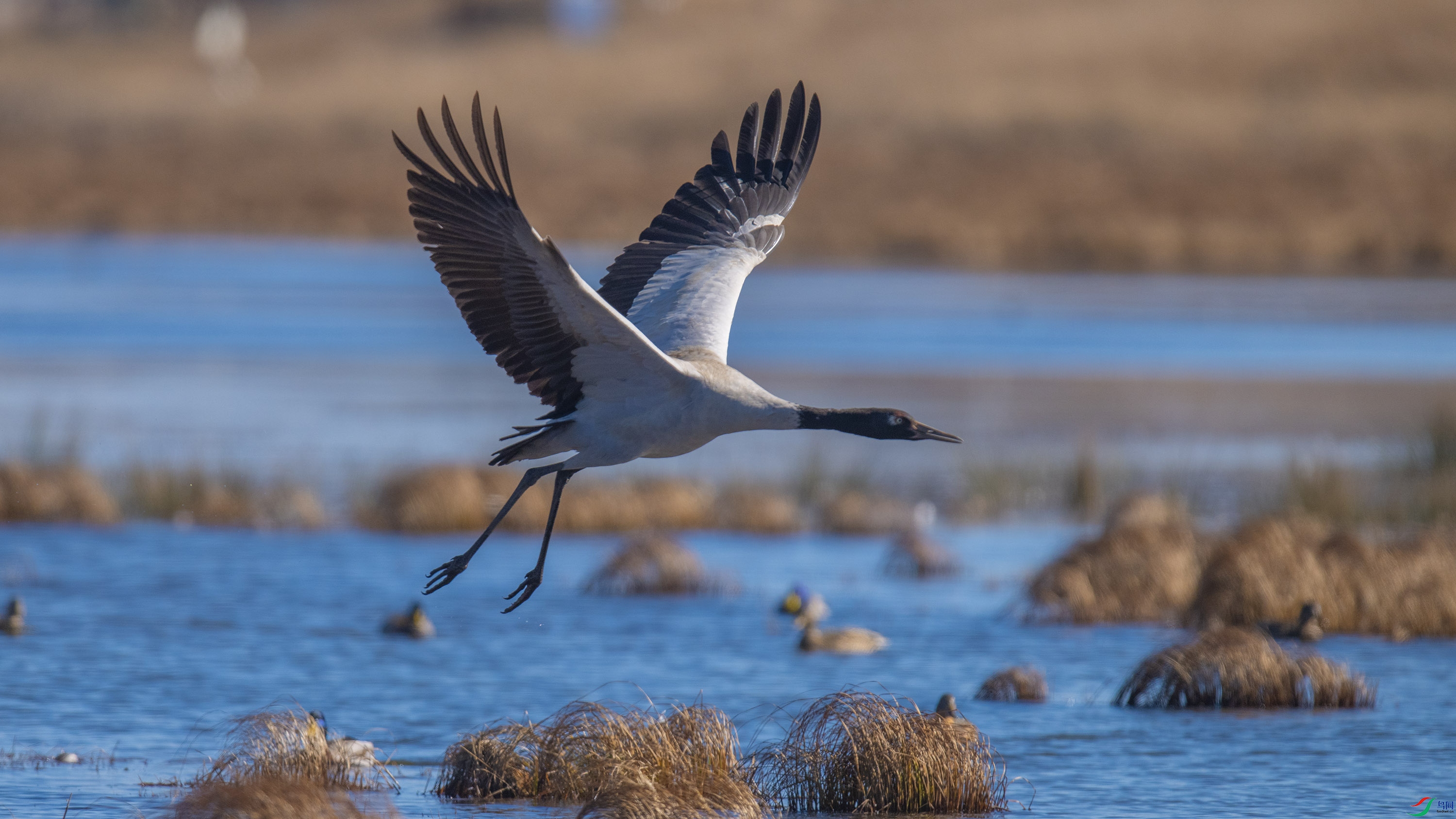 �ھ��� (1).jpg