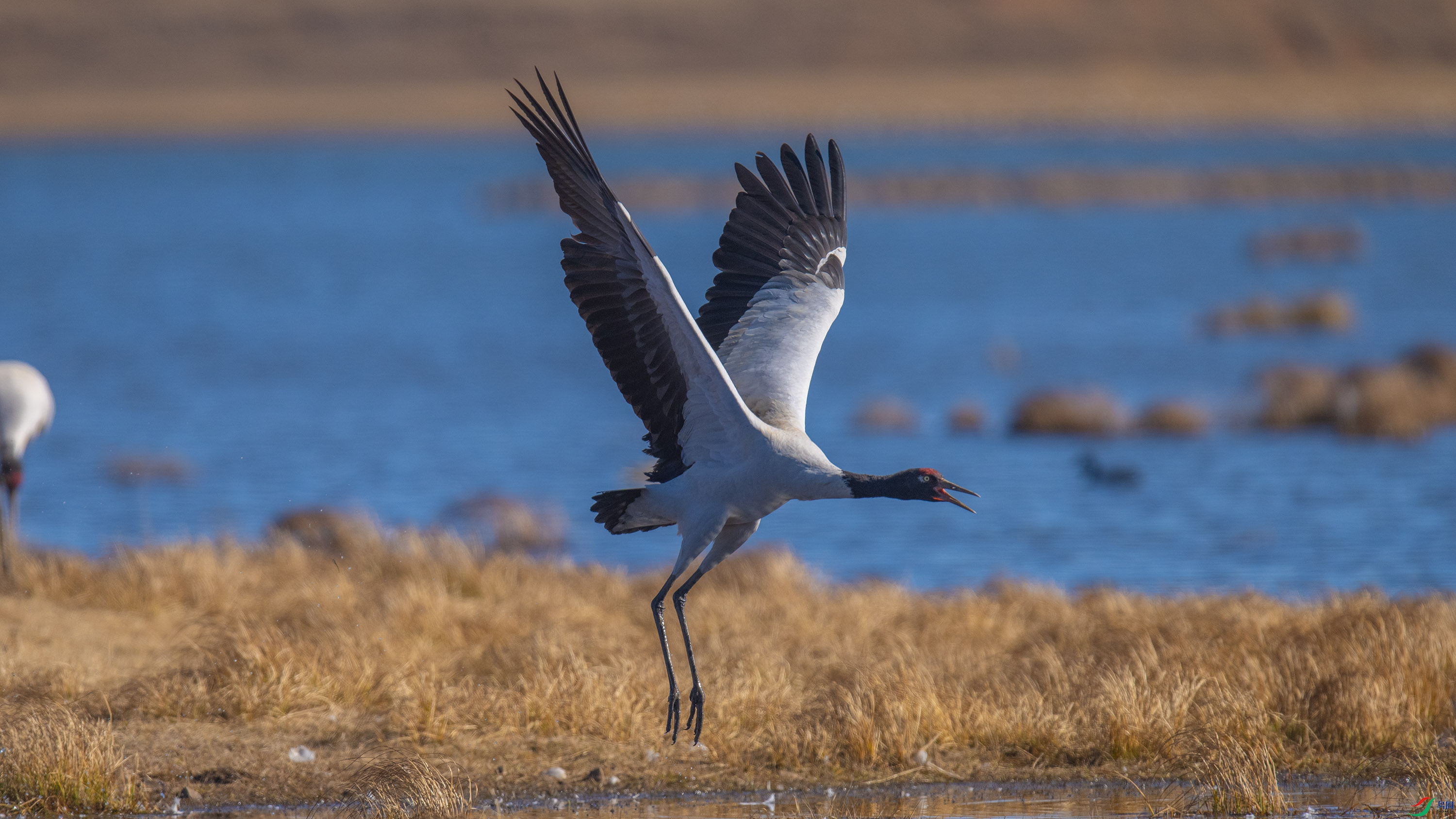 �ھ��� (4).jpg