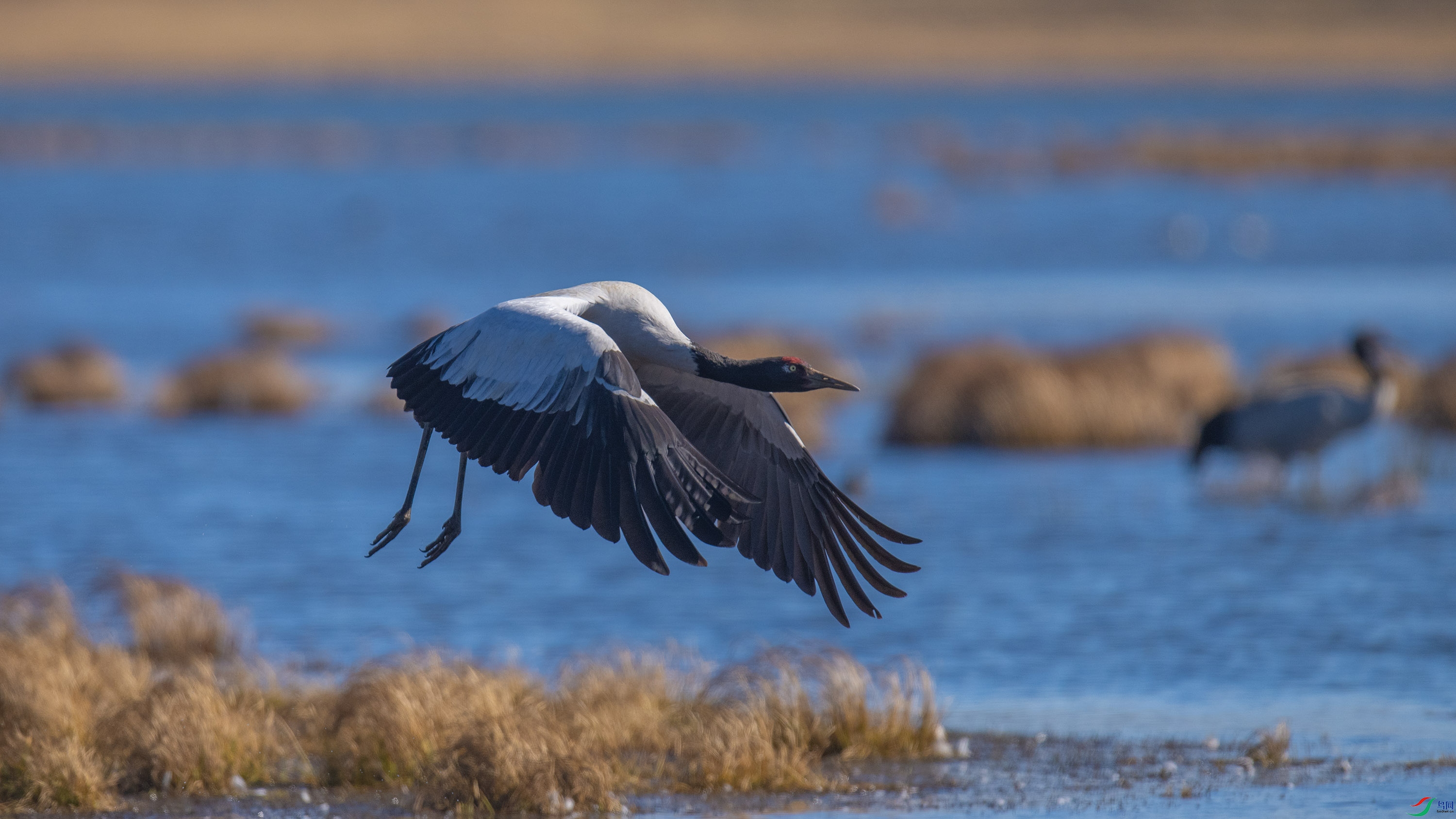 �ھ��� (12).jpg