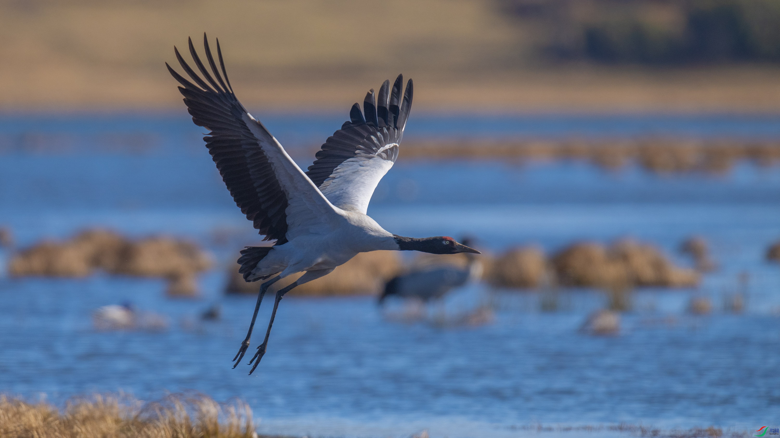 �ھ��� (15).jpg