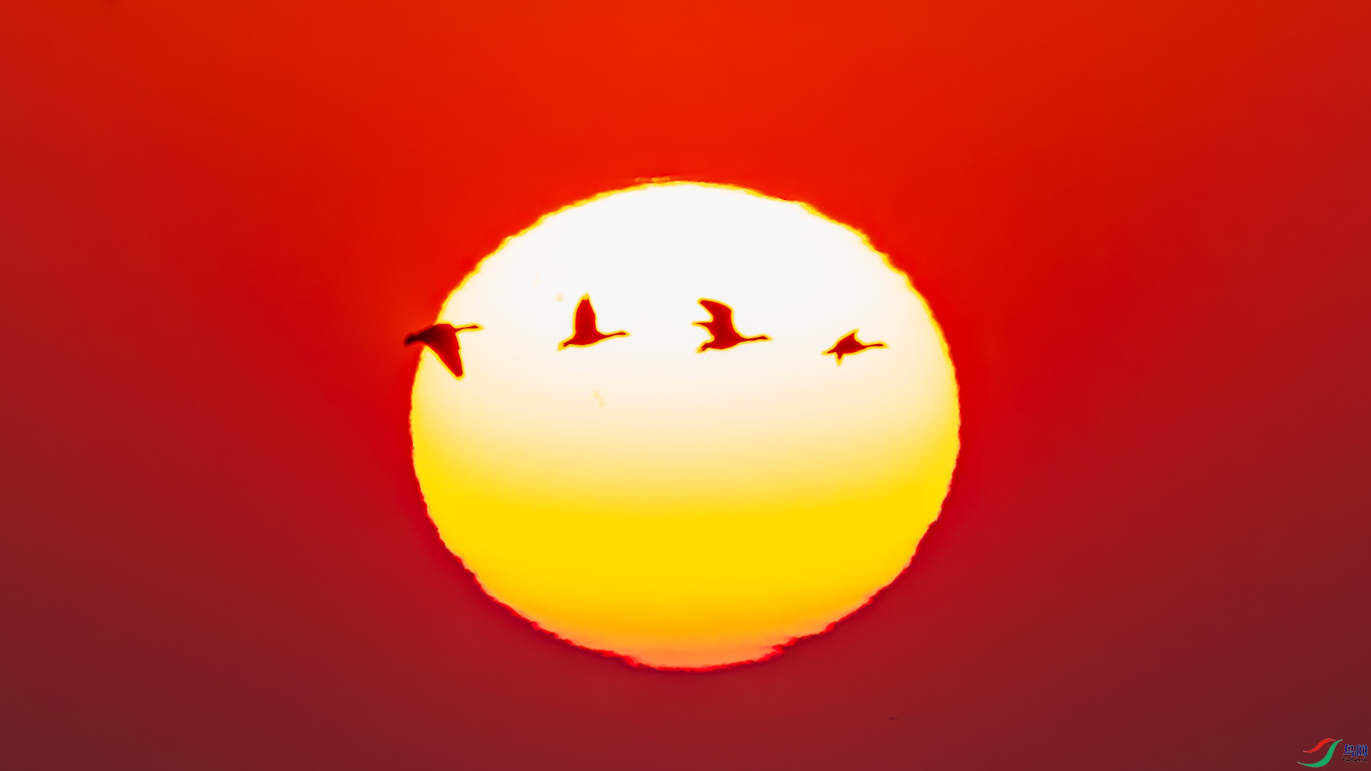 1A3A3222-����ǿ-NR.jpg