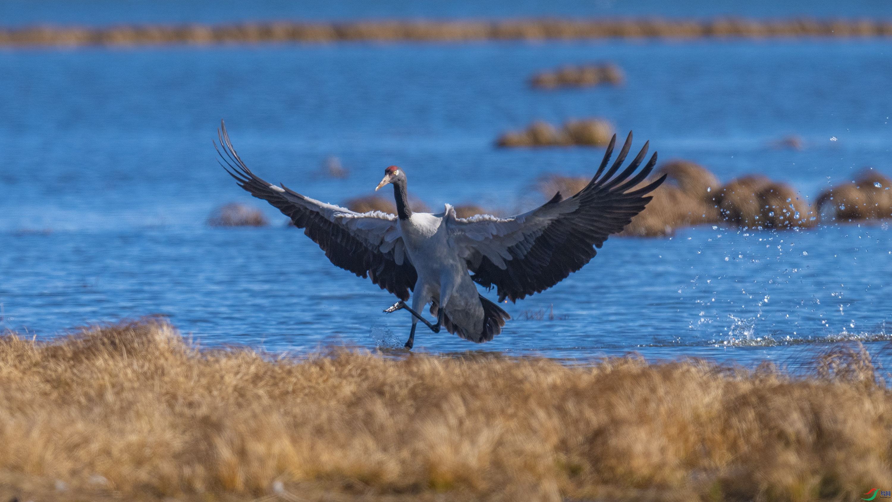 �ھ��� (21).jpg