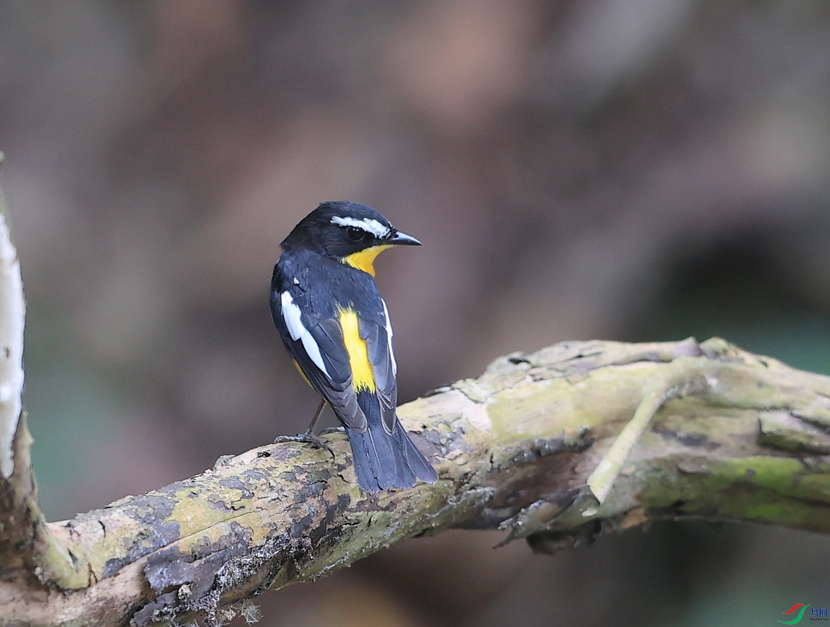 AK1I6672�� ��2.JPG