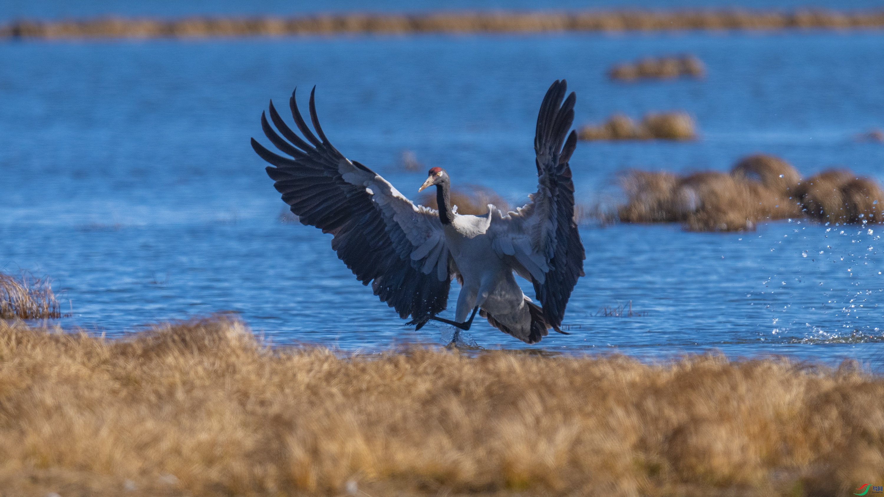 �ھ��� (22).jpg