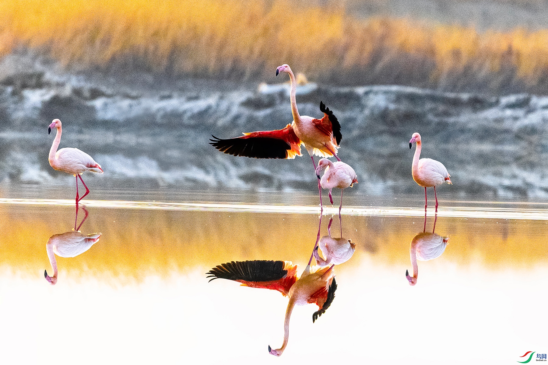 IMG_1599 ����.jpg