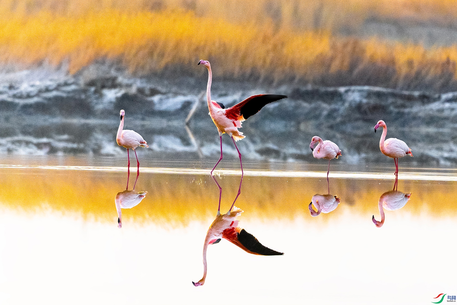 IMG_1602 ����.jpg