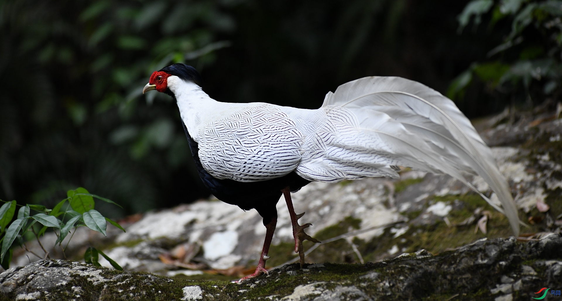 DSC_7055.jpg