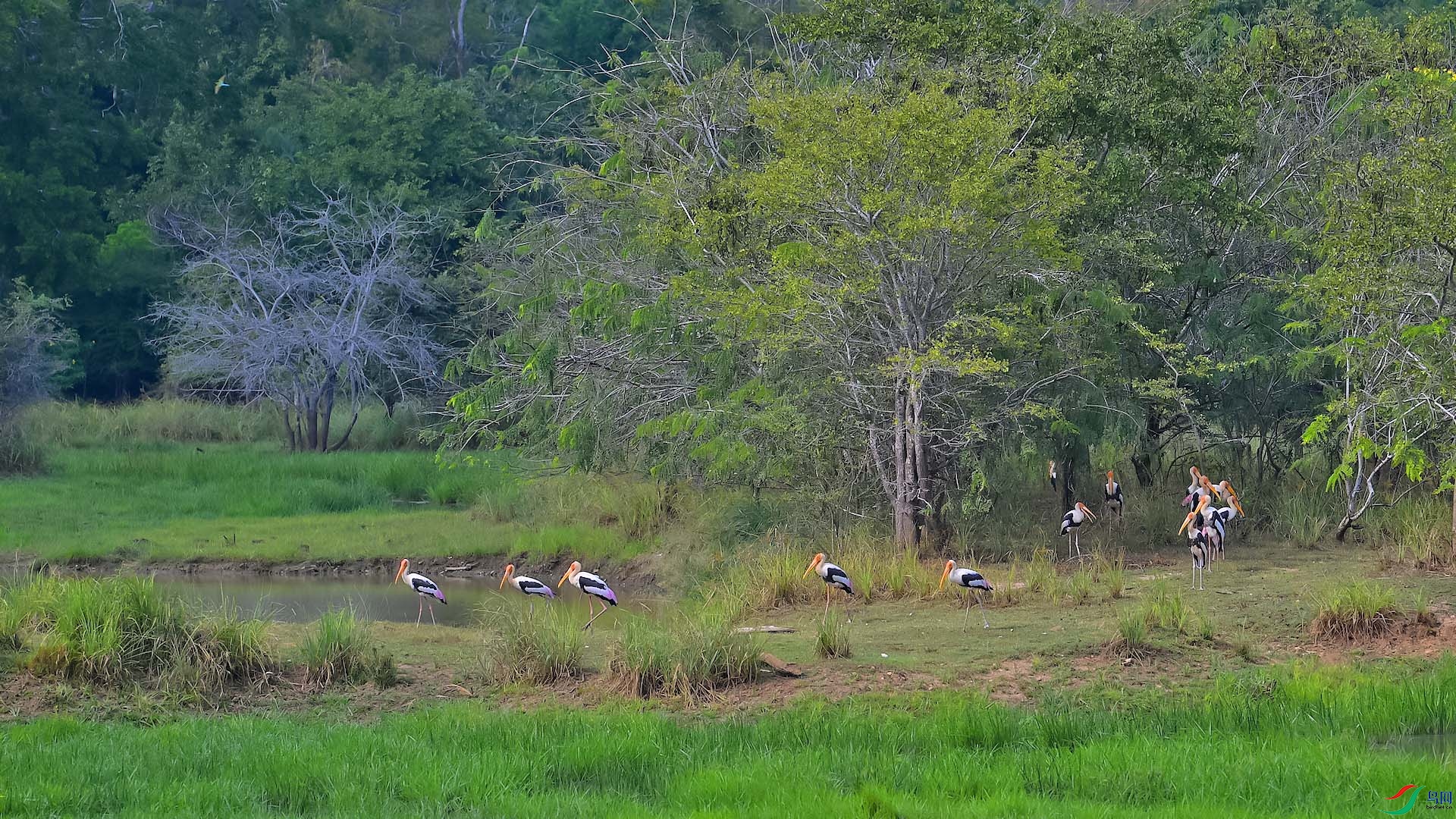 DSC_9910 ����.jpg