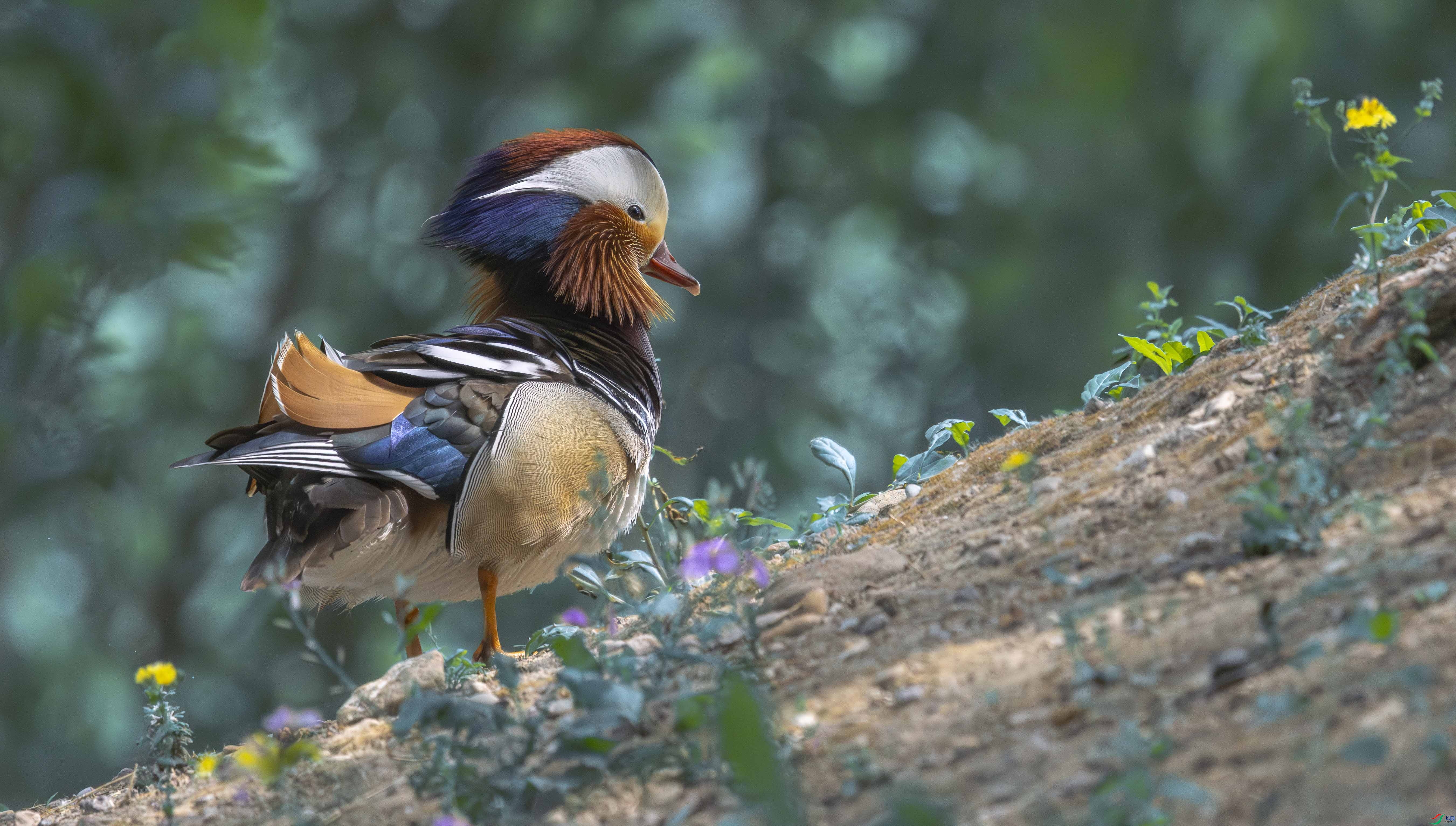 0K1A7502-1 ���� 2.jpg