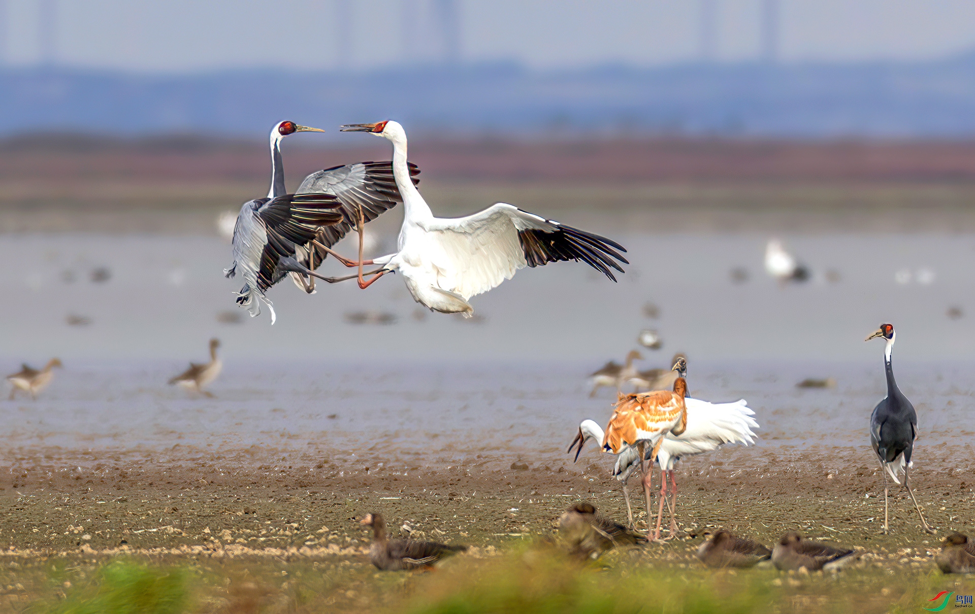 407A9490-----33  .jpg