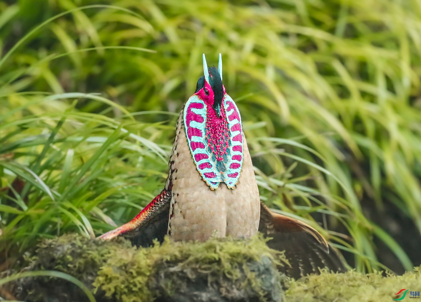 _U4I5936 ���� 2.jpg